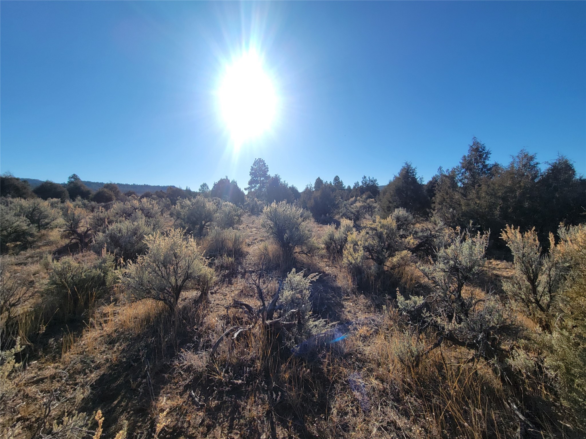 Hwy 64, Tierra Amarilla, New Mexico image 12