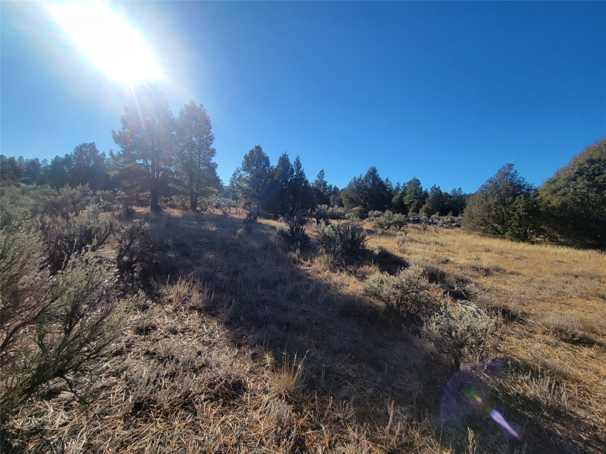 Hwy 64, Tierra Amarilla, New Mexico image 19