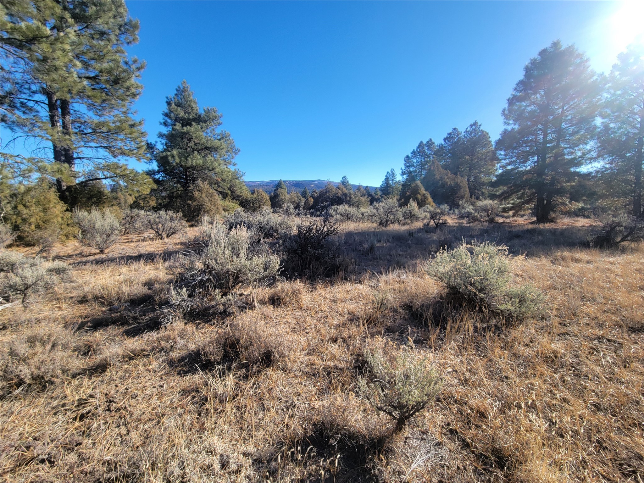 Hwy 64, Tierra Amarilla, New Mexico image 45