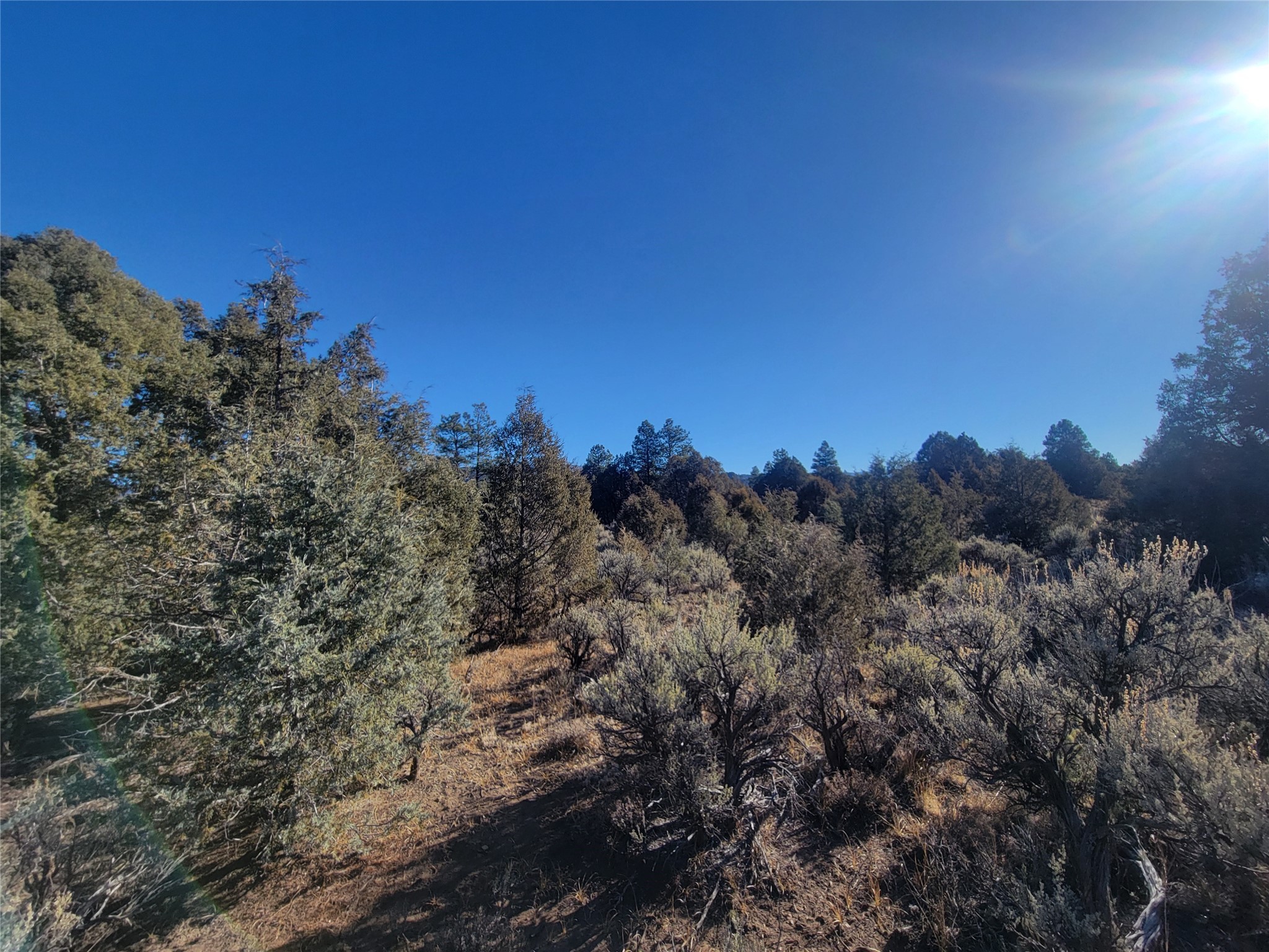 Hwy 64, Tierra Amarilla, New Mexico image 37