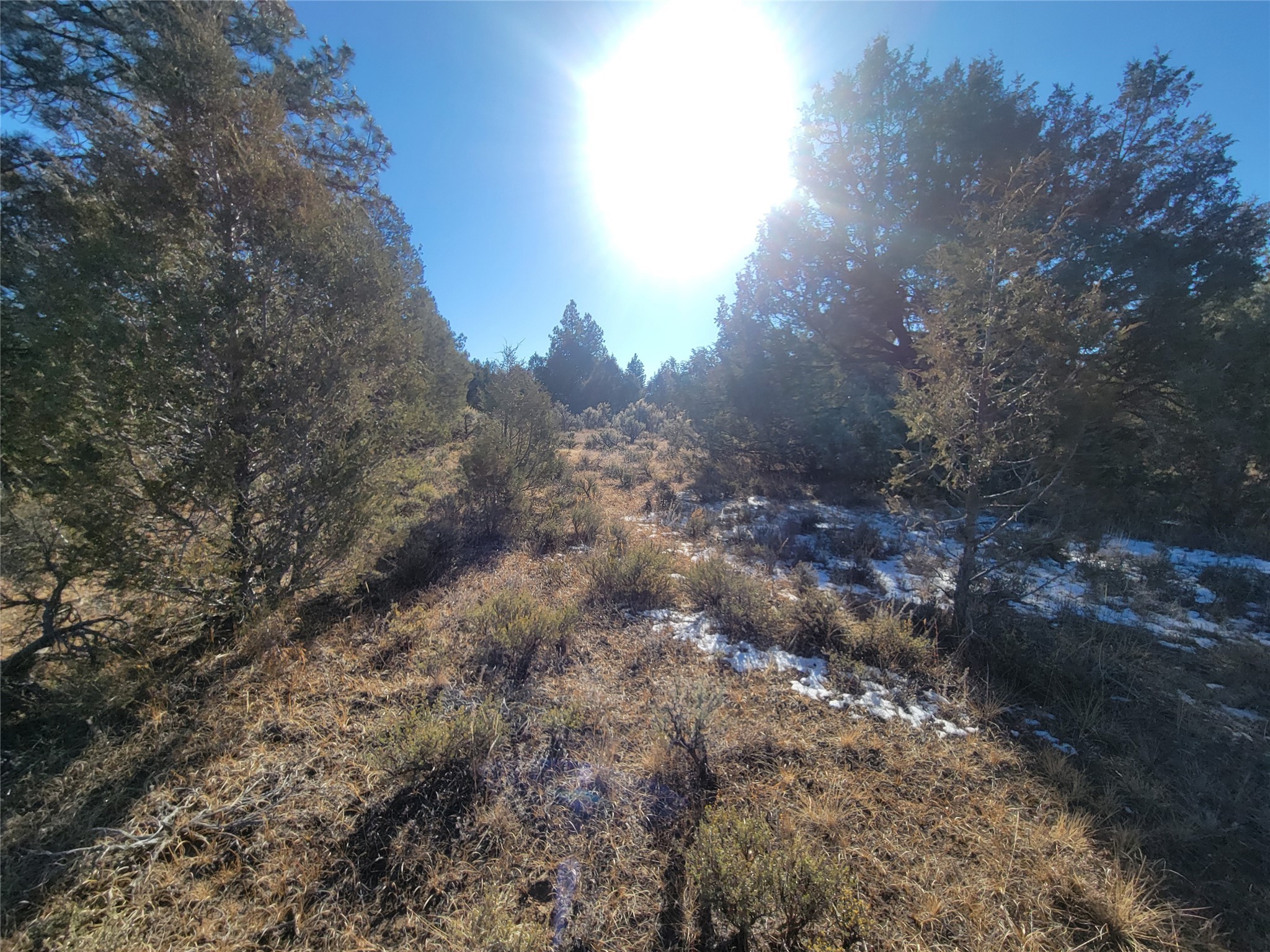 Hwy 64, Tierra Amarilla, New Mexico image 43