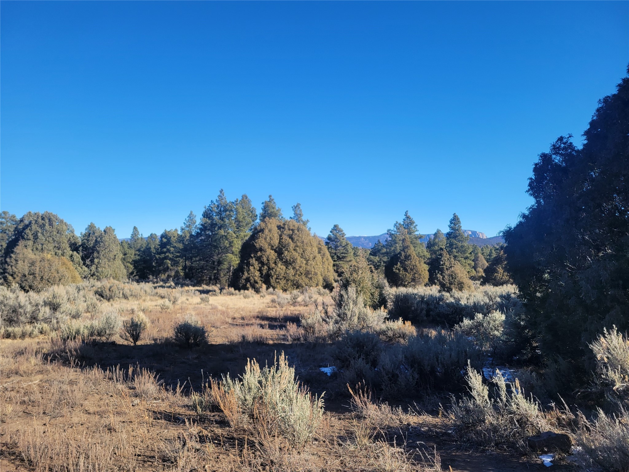 Hwy 64, Tierra Amarilla, New Mexico image 40