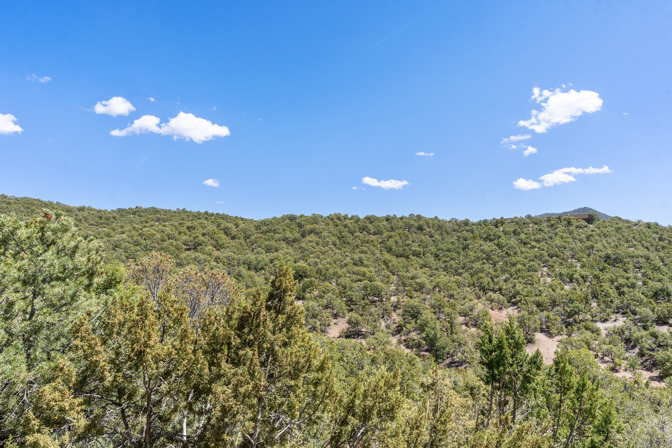 1972 Cerros Colorados, Santa Fe, New Mexico image 46