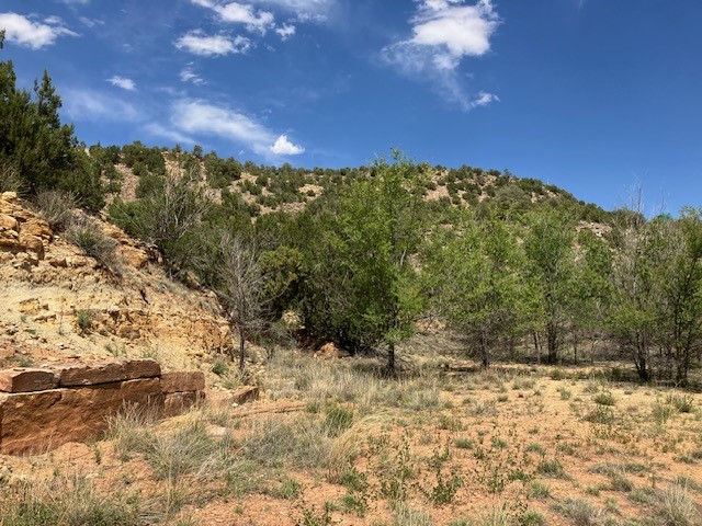 2.07 Acres Nm 3, Villanueva, New Mexico image 5