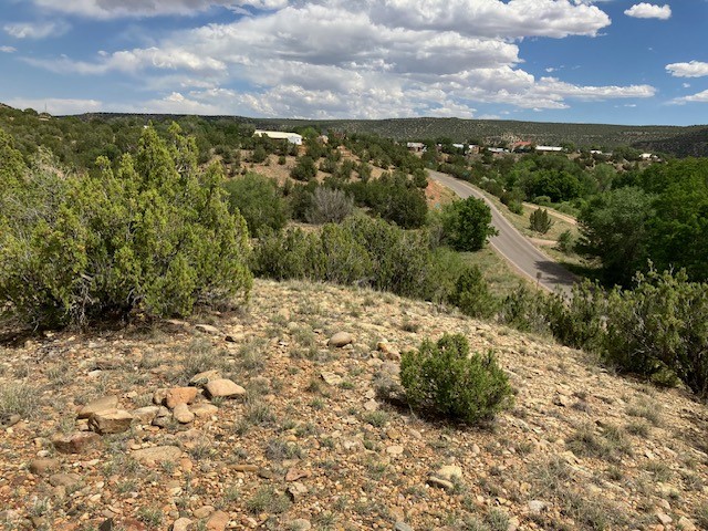 2.07 Acres Nm 3, Villanueva, New Mexico image 8