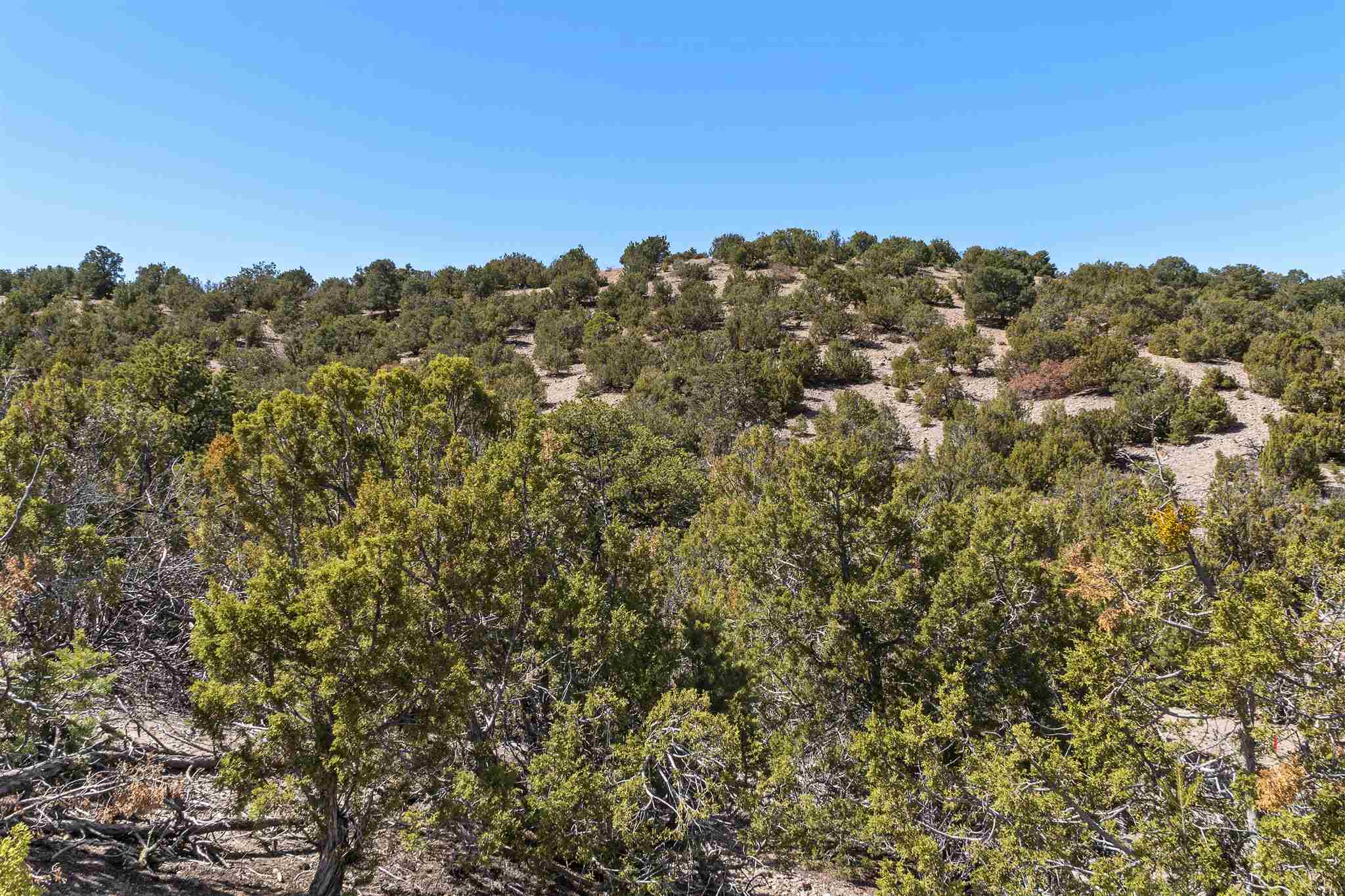 3110 Village Drive, Lot 23, Santa Fe, New Mexico image 8