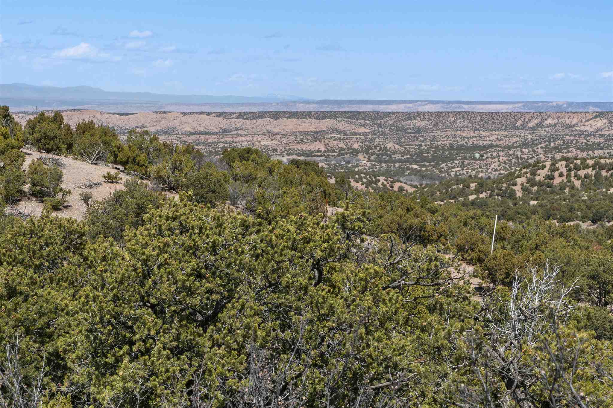 3110 Village Drive, Lot 23, Santa Fe, New Mexico image 6