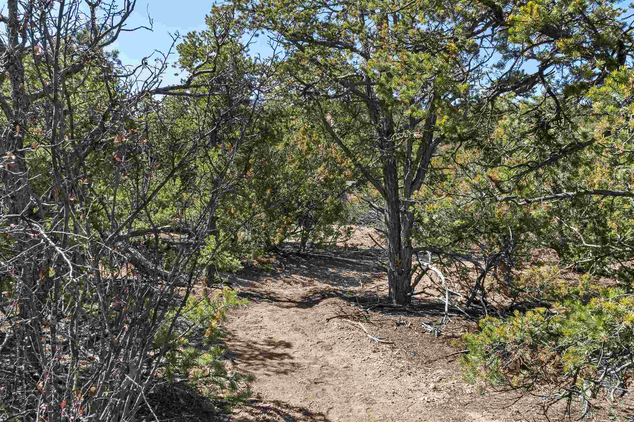 3110 Village Drive, Lot 23, Santa Fe, New Mexico image 11