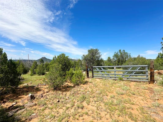 42 COUNTY RD B26D, SERAFINA, NM 87569 - Image 8618e93a5ccfa1769b381012d0c2e2c7/3662283755