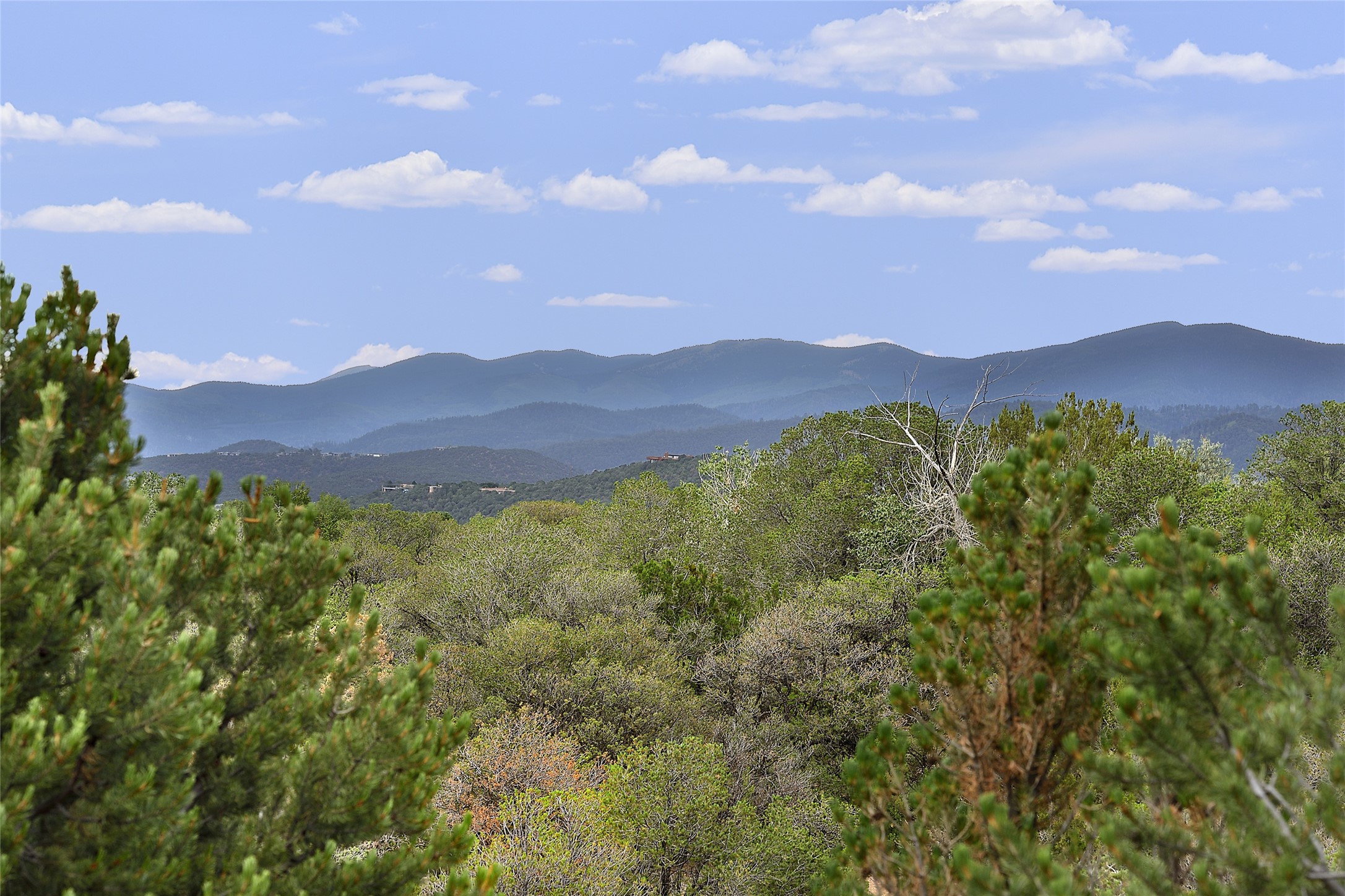 1021 Old Santa Fe Trail Trl, Santa Fe, New Mexico image 10