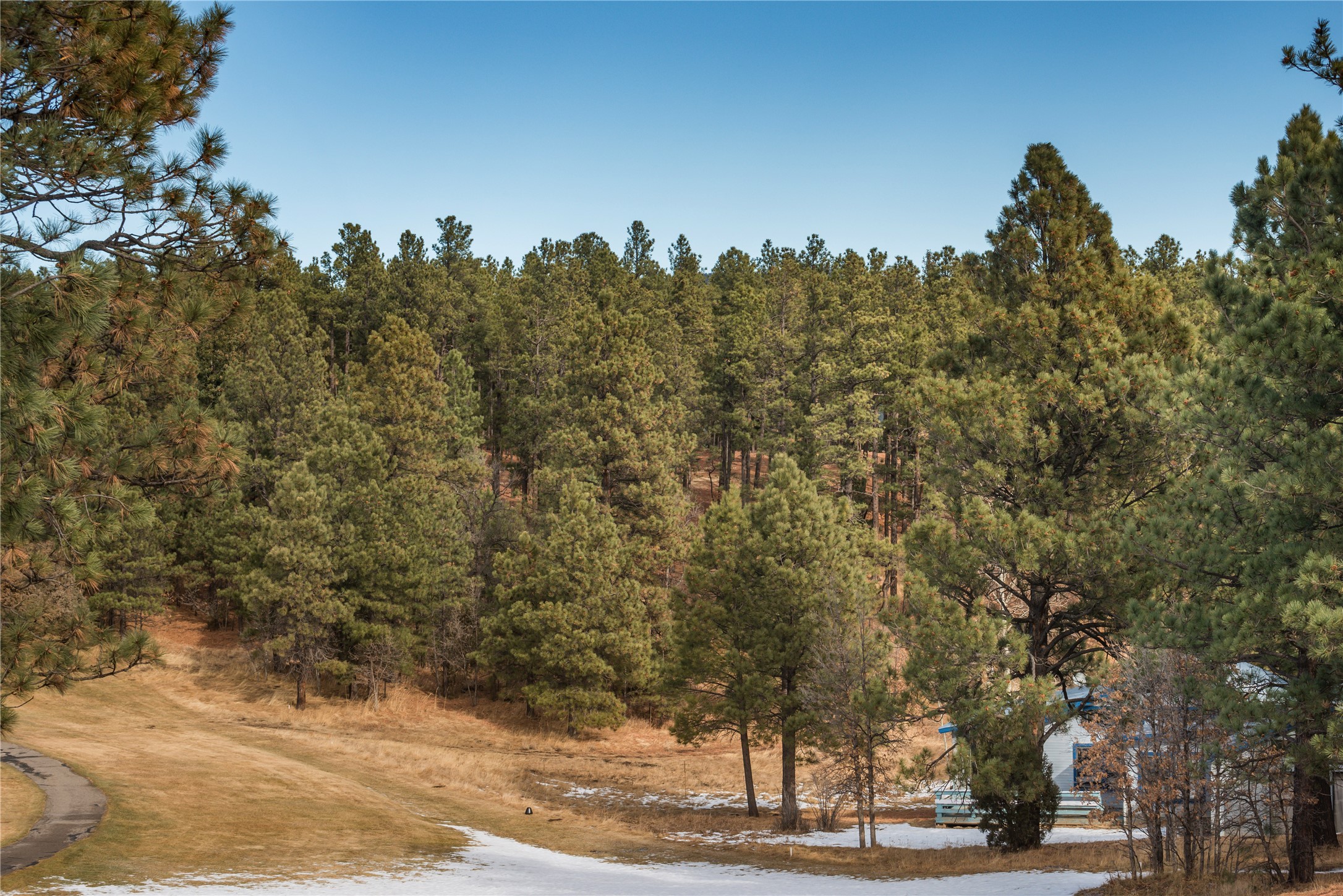 Lot 34 Alta Vista & Russ Road Vis, Rociada, New Mexico image 3