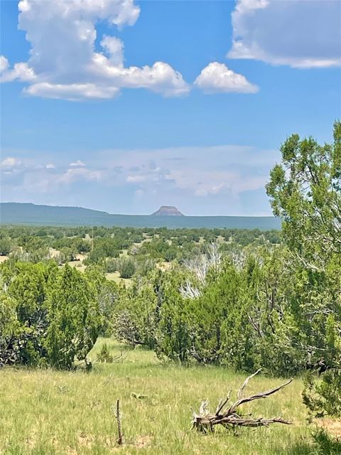 Vacant Land For Sale - 000 County Rd B29a<br/> Villanueva, NM 87583