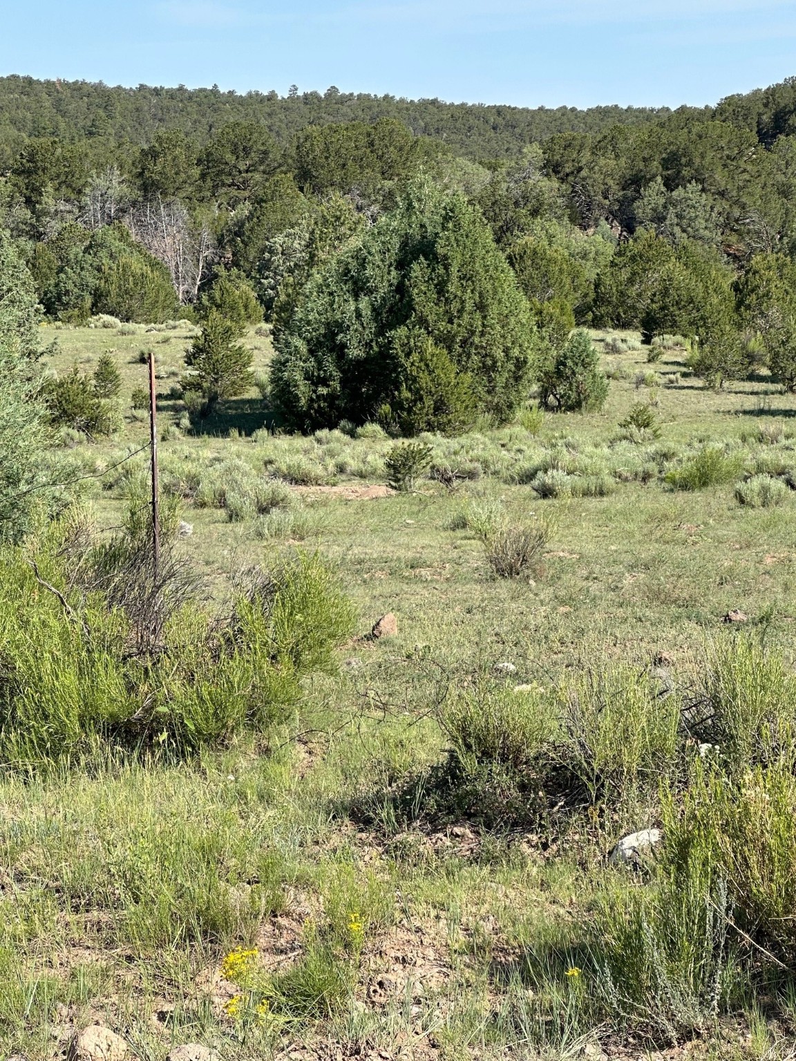 TBD Polvadera, Abiquiu, New Mexico image 7