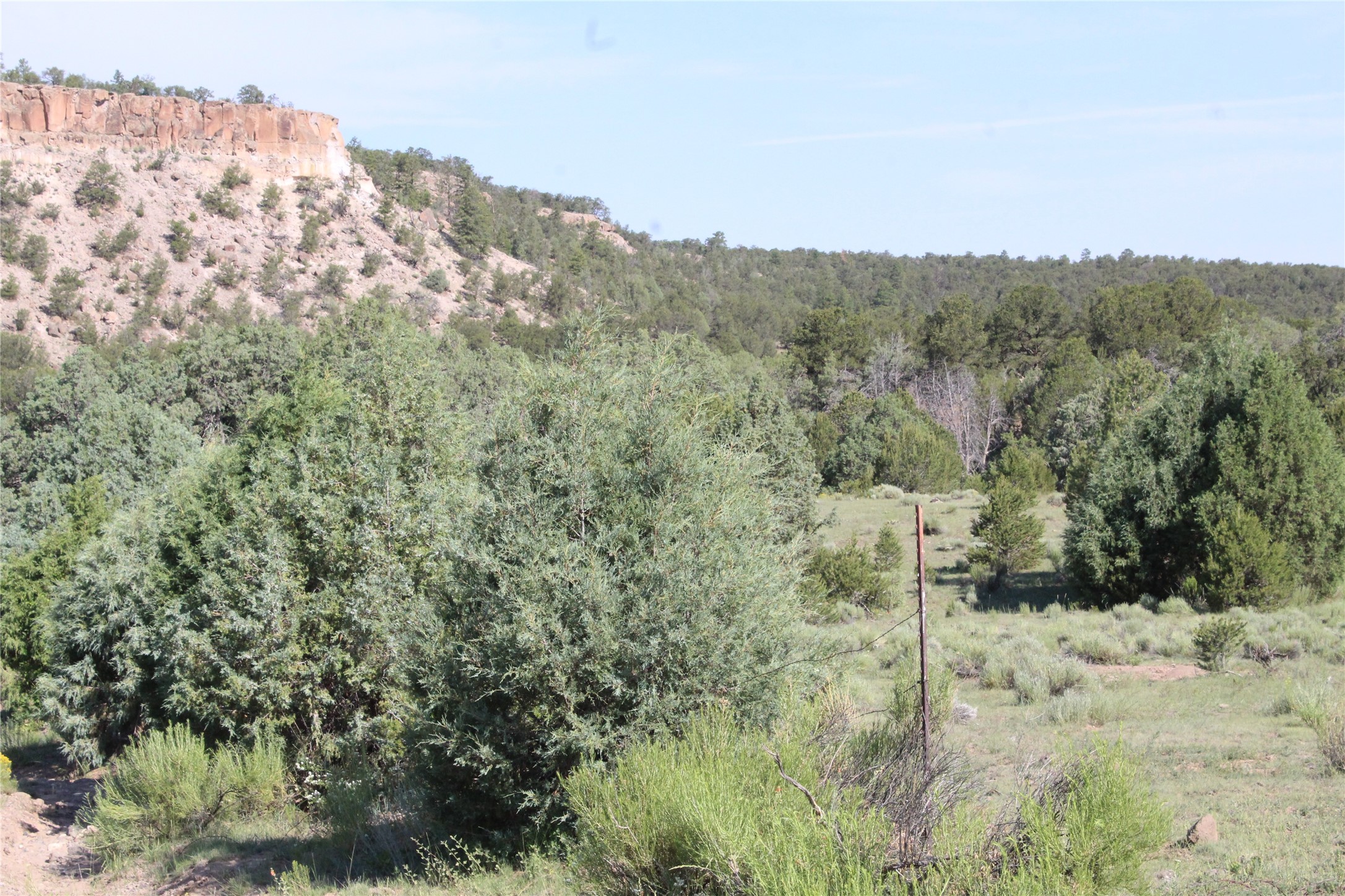 TBD Polvadera, Abiquiu, New Mexico image 4