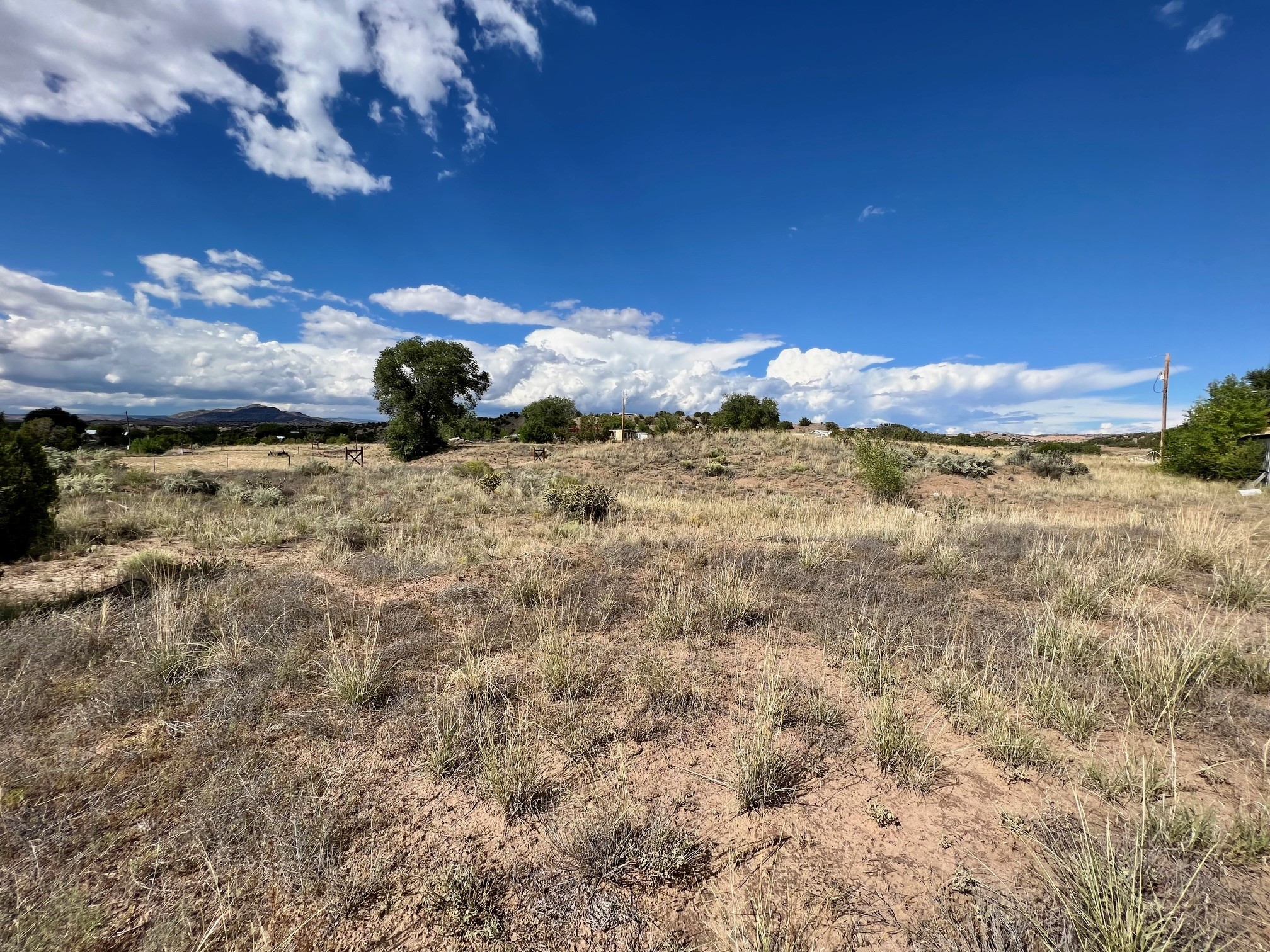 Vicinity County Rd 142, Medanales, New Mexico image 3