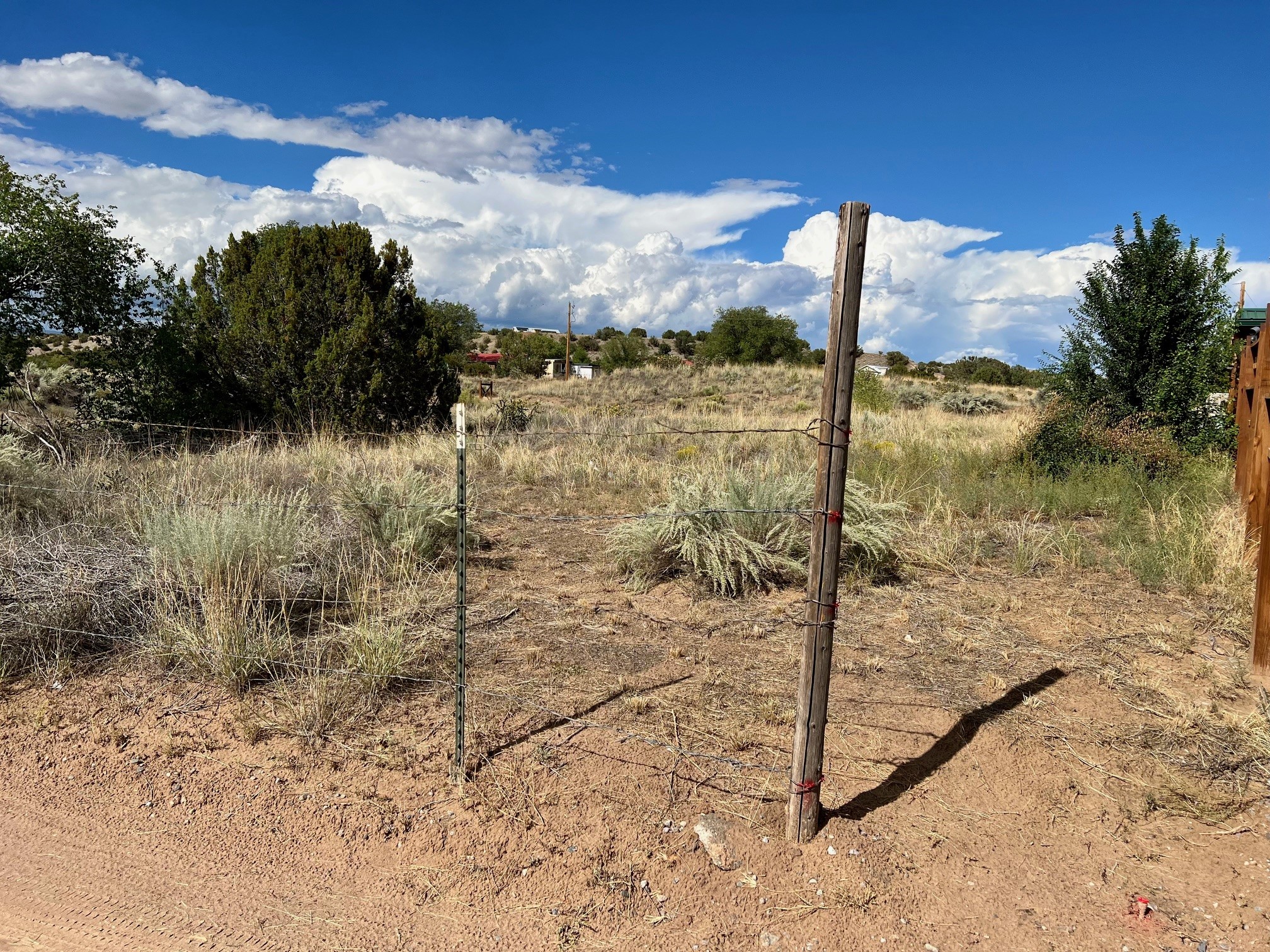 Vicinity County Rd 142, Medanales, New Mexico image 5