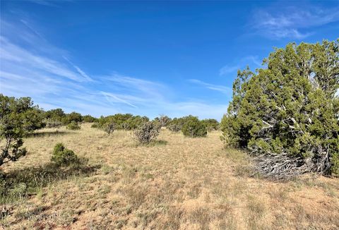 Tiny photo for 65 Grenfell Ranch Rd, Cerrillos, NM 87010 (MLS # 202600867)