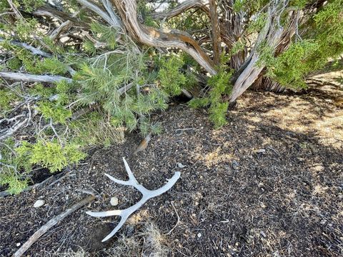 Tiny photo for 65 Grenfell Ranch Rd, Cerrillos, NM 87010 (MLS # 202600867)