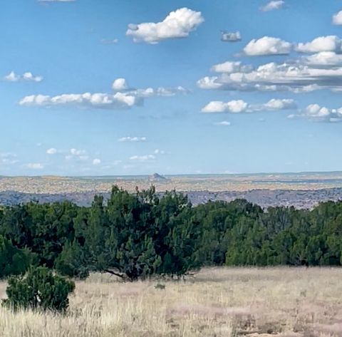 Tiny photo for 65 Grenfell Ranch Rd, Cerrillos, NM 87010 (MLS # 202600867)