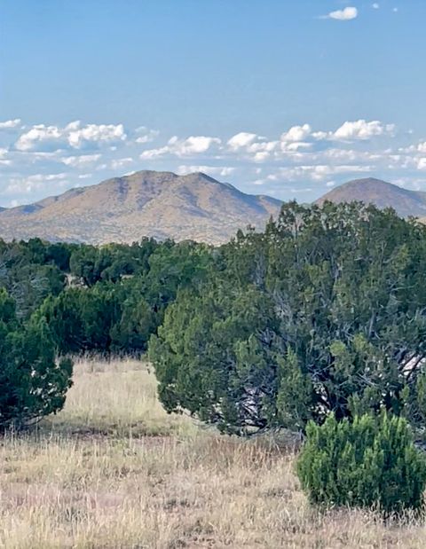 Tiny photo for 65 Grenfell Ranch Rd, Cerrillos, NM 87010 (MLS # 202600867)