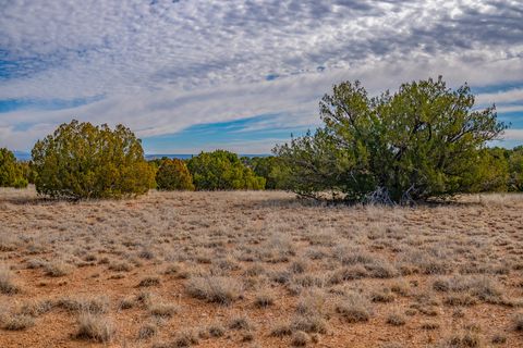 Tiny photo for 65 Grenfell Ranch Rd, Cerrillos, NM 87010 (MLS # 202600867)