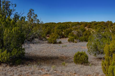 Tiny photo for 65 Grenfell Ranch Rd, Cerrillos, NM 87010 (MLS # 202600867)
