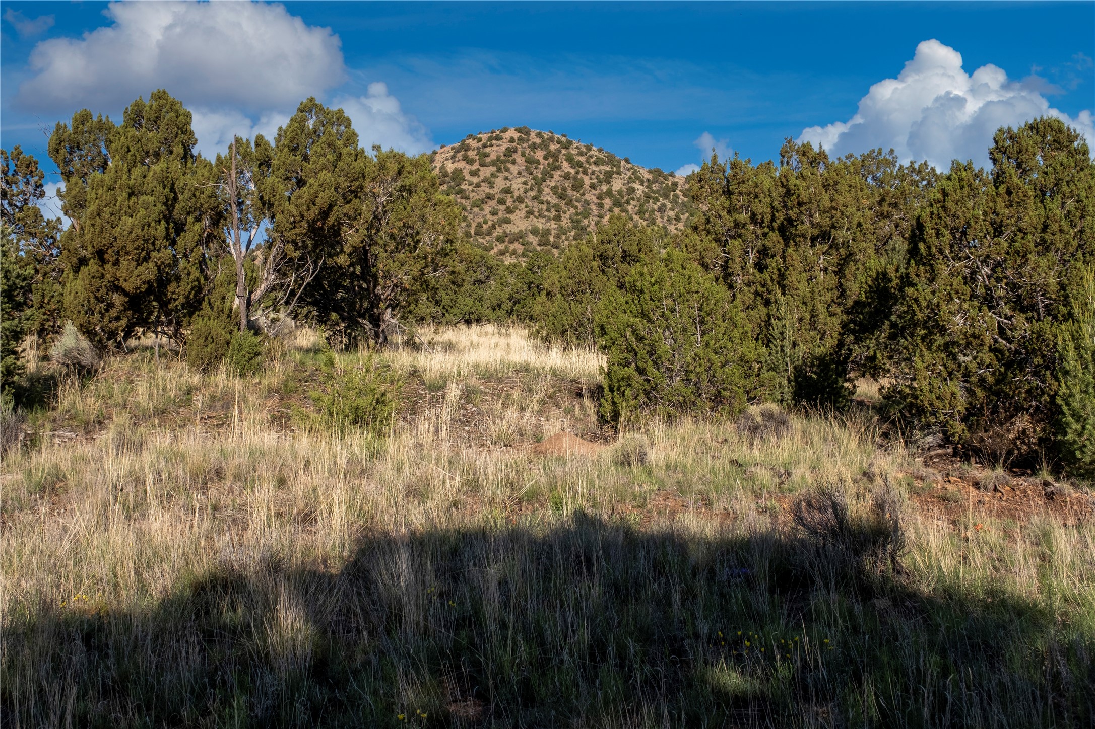 116 Apache Plume Drive Dr, Santa Fe, New Mexico image 4