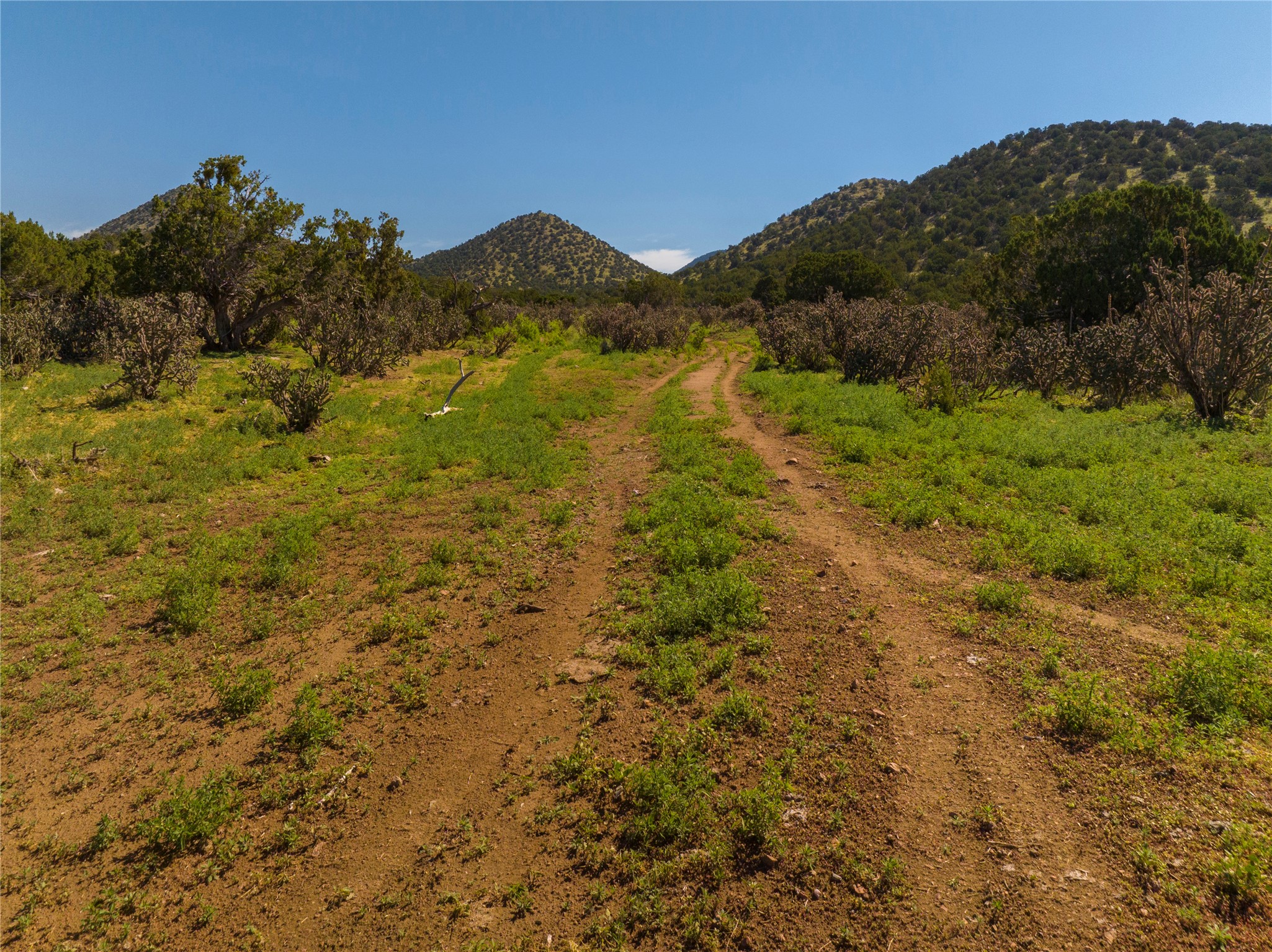 116 Apache Plume Drive Dr, Santa Fe, New Mexico image 6