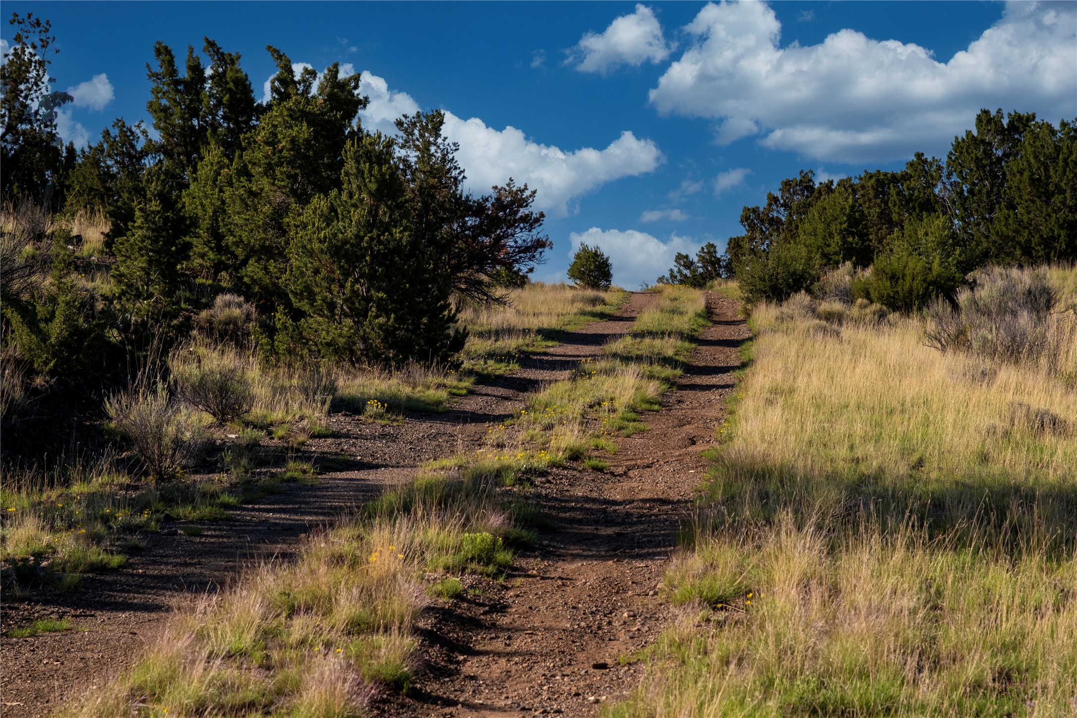 116 Apache Plume Drive Dr, Santa Fe, New Mexico image 20