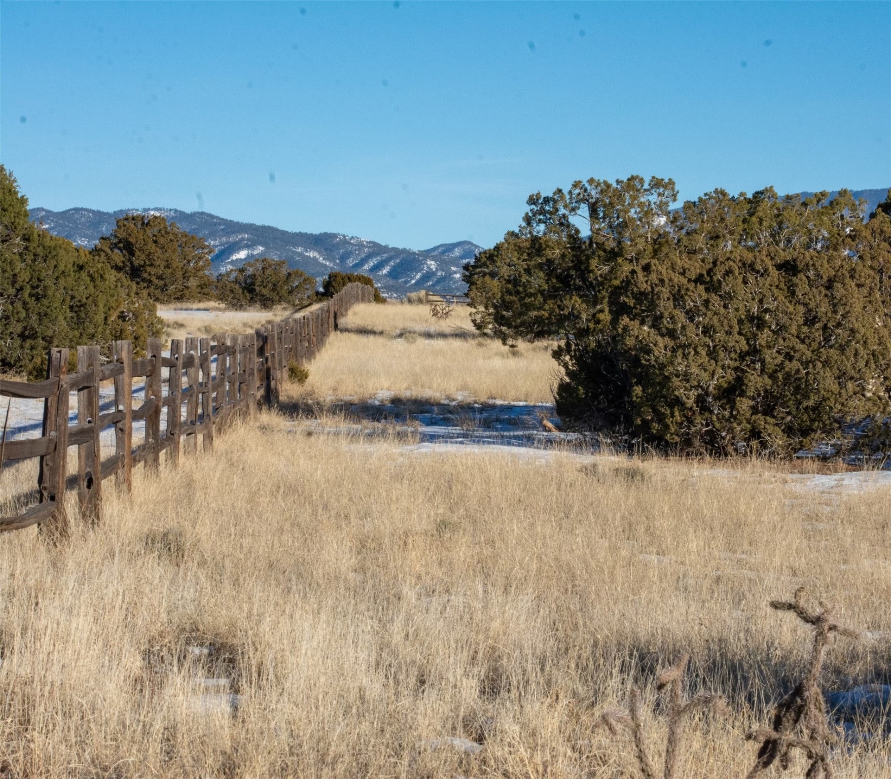 46 W Camino Del Cielo, Santa Fe, New Mexico image 7