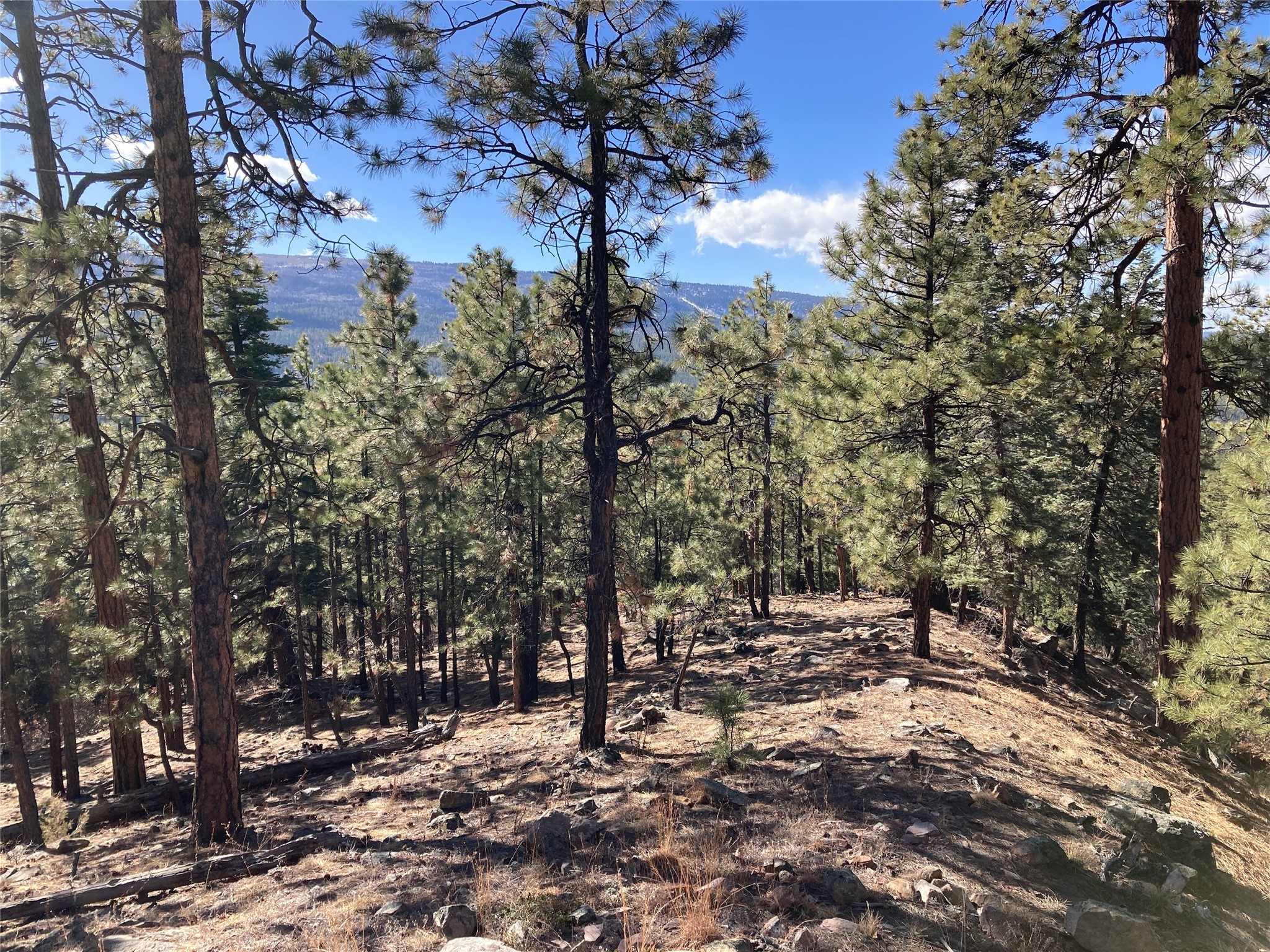 196 Ticonderoga Drive, Chama, New Mexico image 4