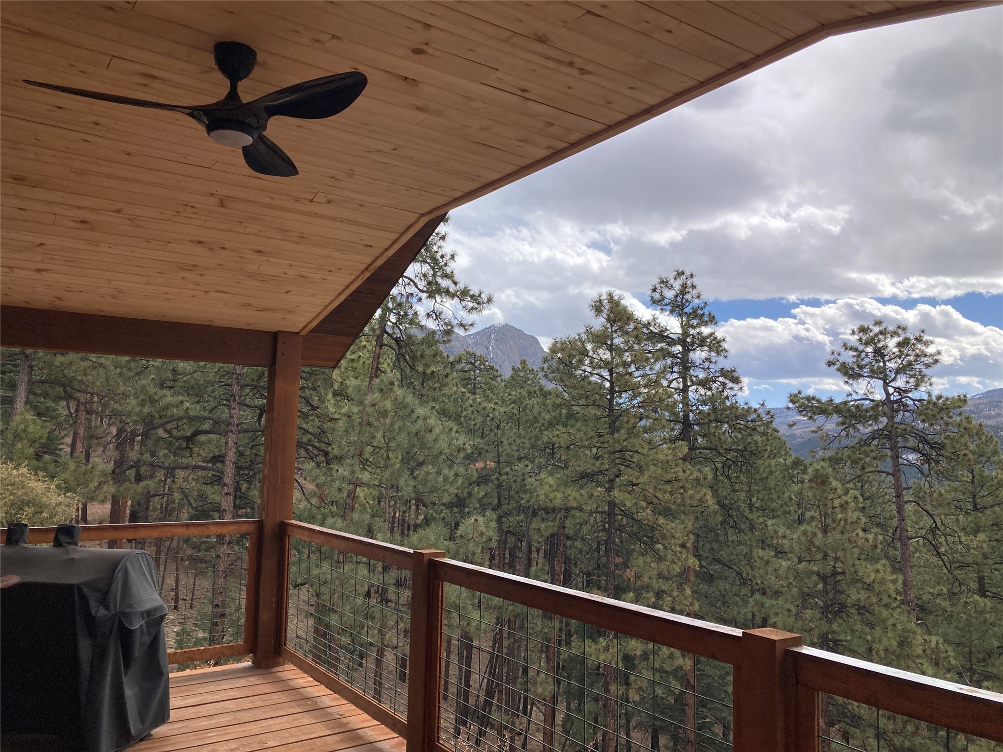 196 Ticonderoga Drive, Chama, New Mexico image 35