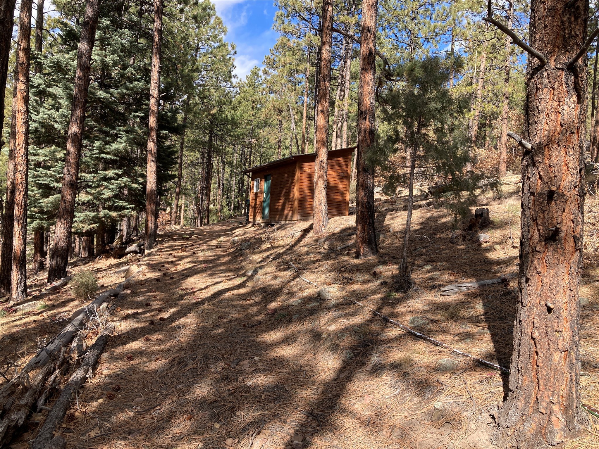 196 Ticonderoga Drive, Chama, New Mexico image 15