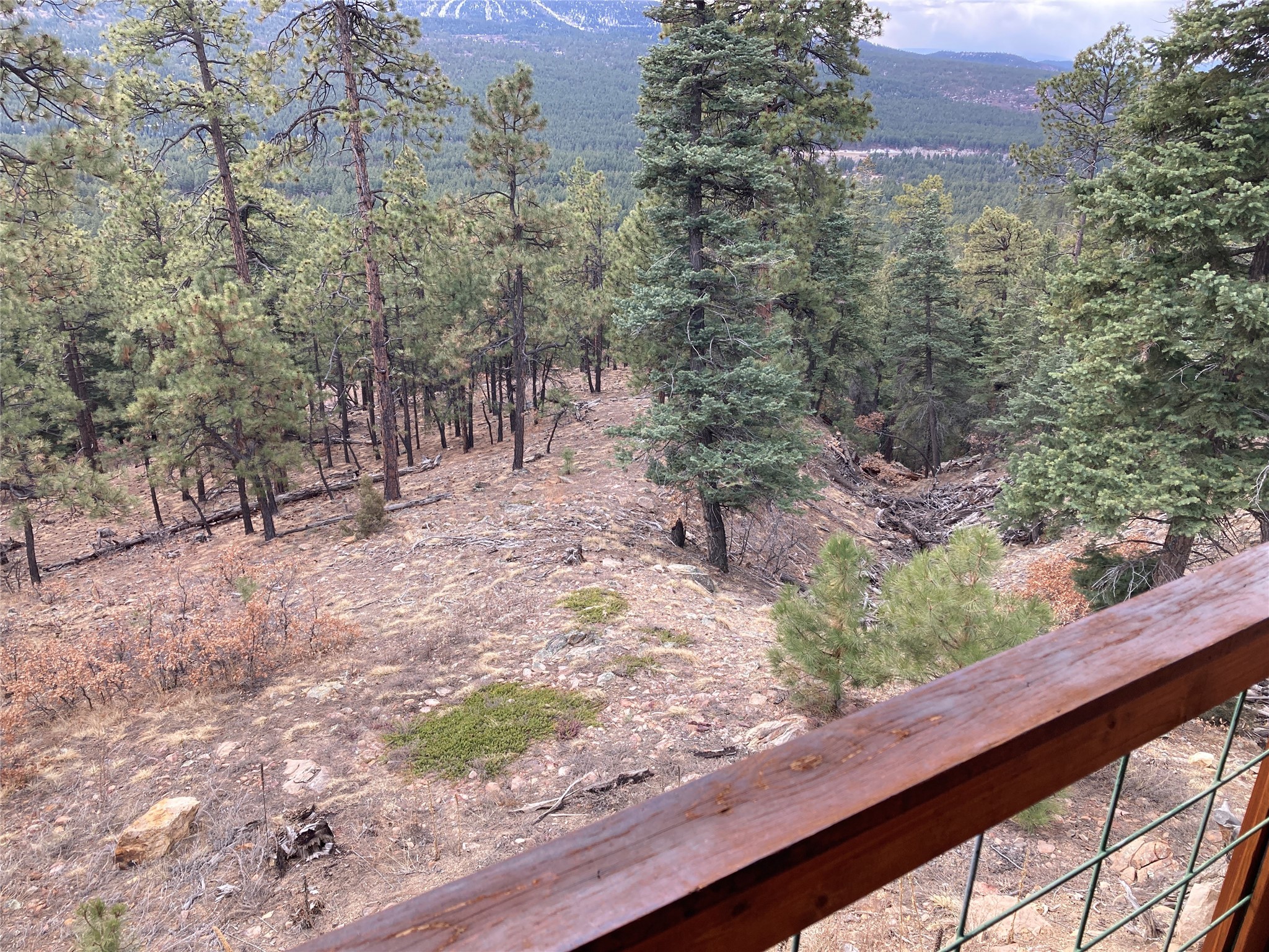 196 Ticonderoga Drive, Chama, New Mexico image 39