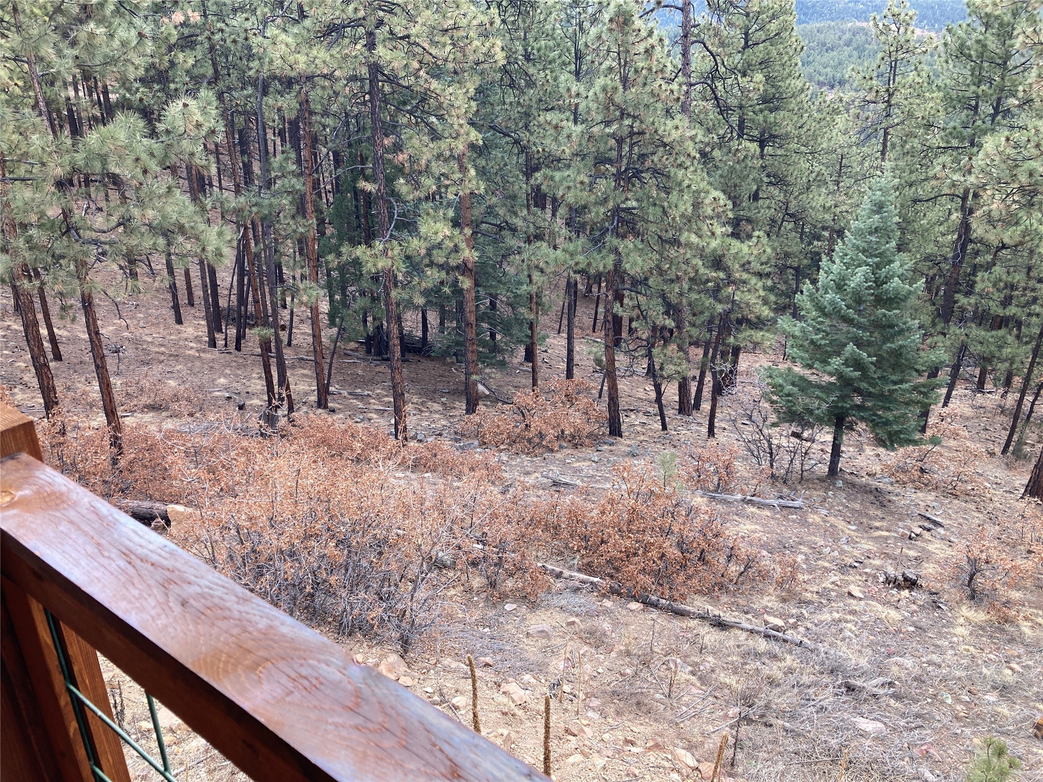 196 Ticonderoga Drive, Chama, New Mexico image 40