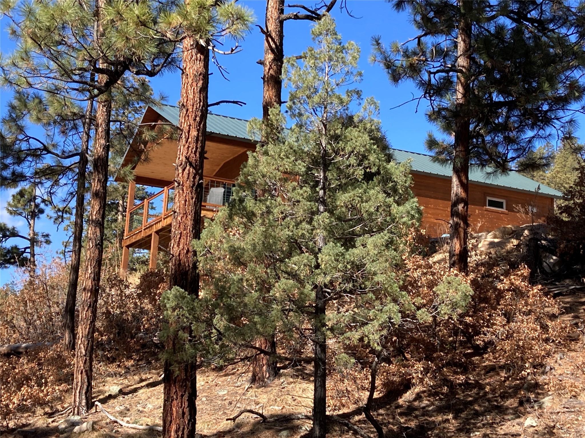 196 Ticonderoga Drive, Chama, New Mexico image 5
