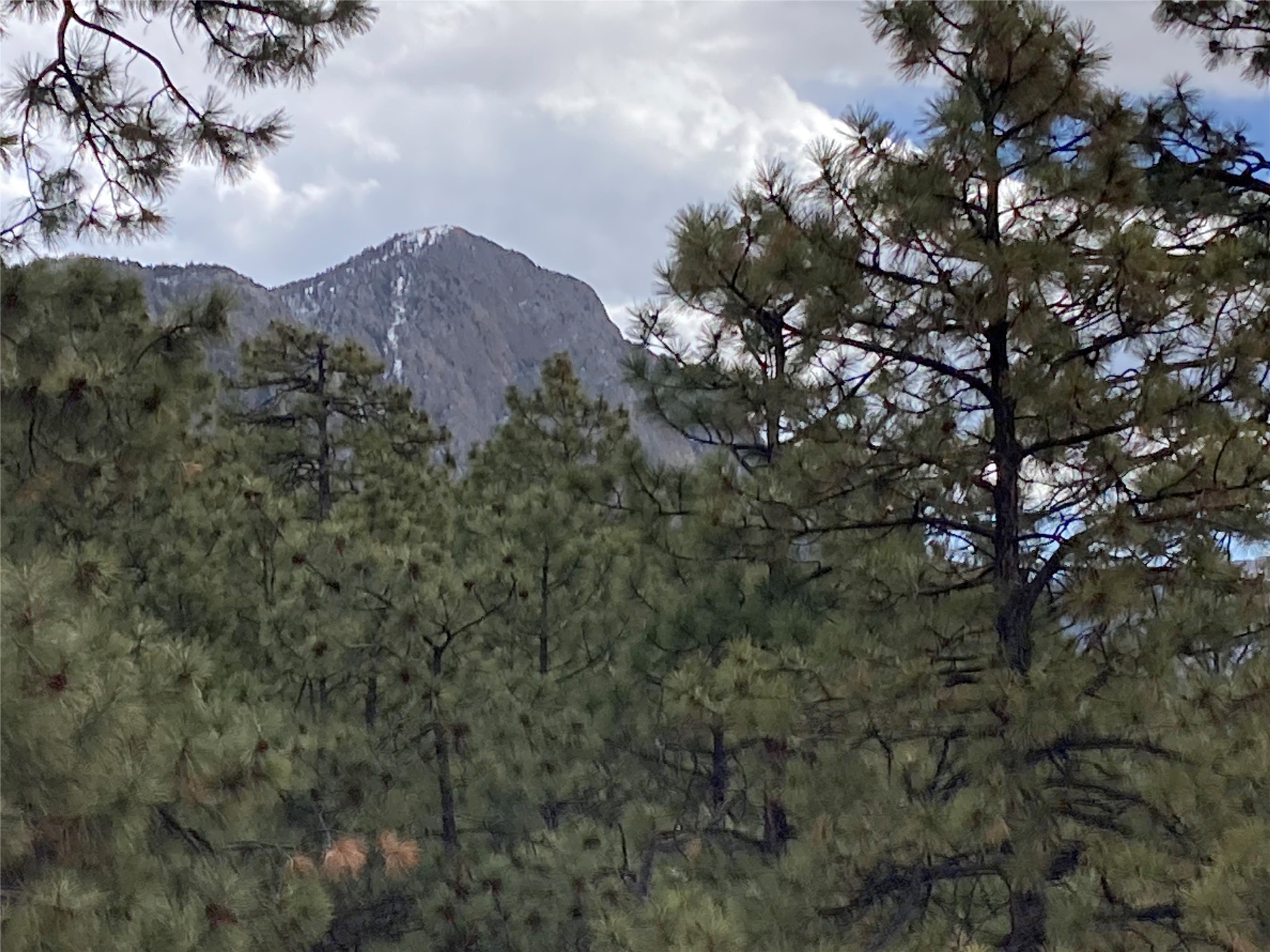 196 Ticonderoga Drive, Chama, New Mexico image 41