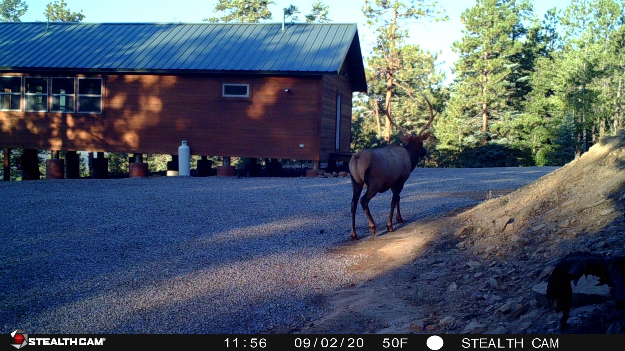196 Ticonderoga Drive, Chama, New Mexico image 44