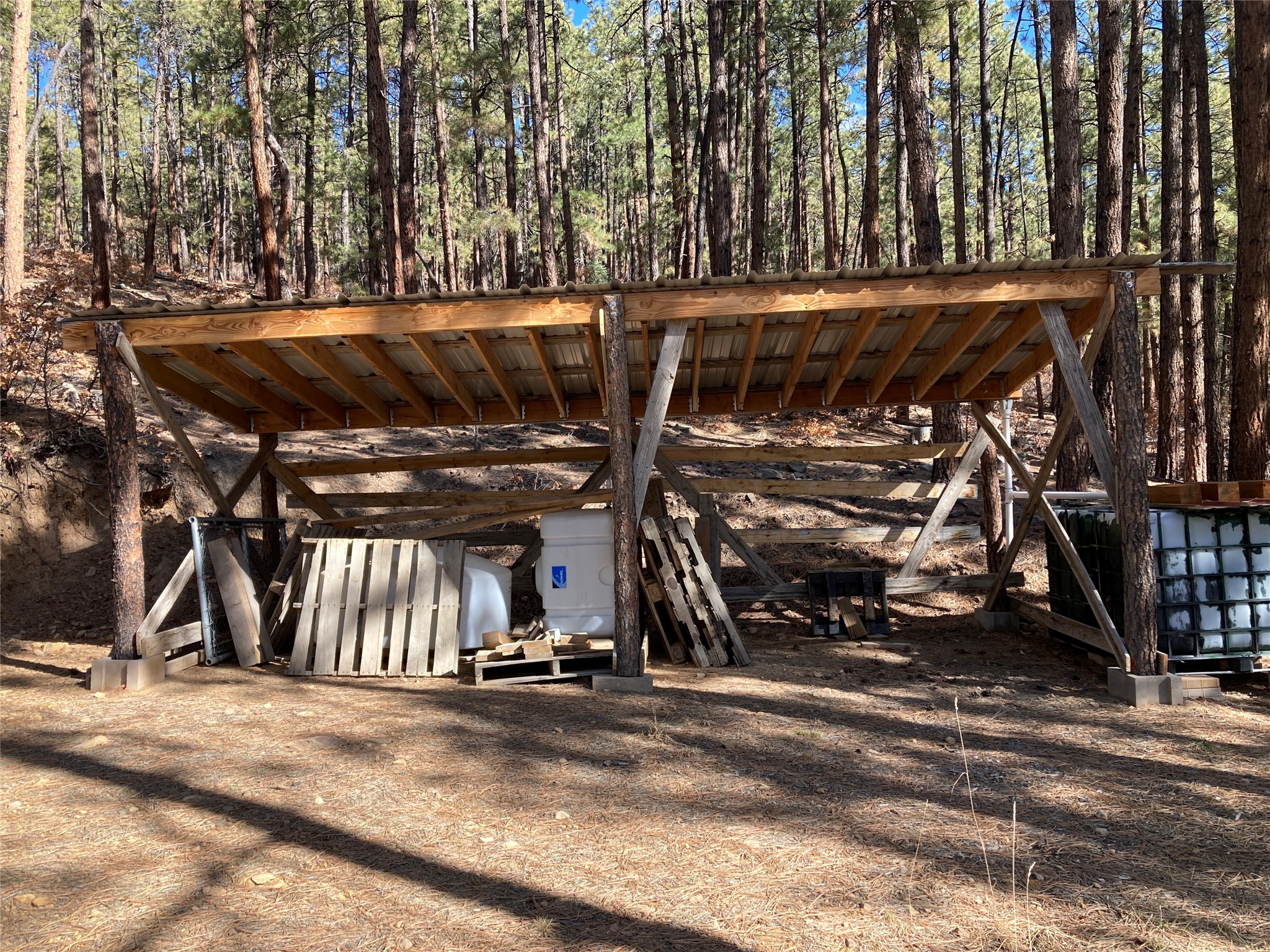 196 Ticonderoga Drive, Chama, New Mexico image 10