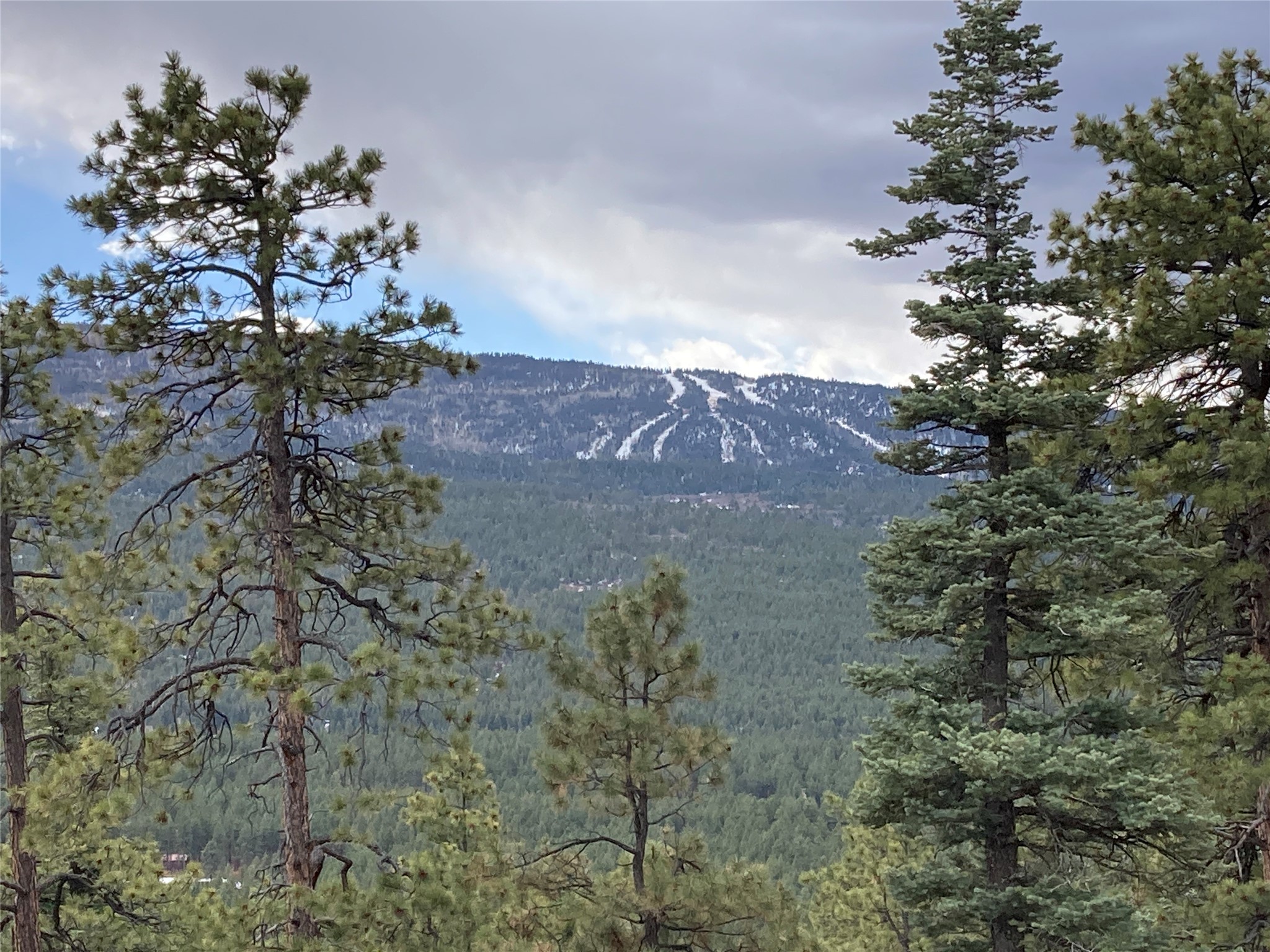 196 Ticonderoga Drive, Chama, New Mexico image 37