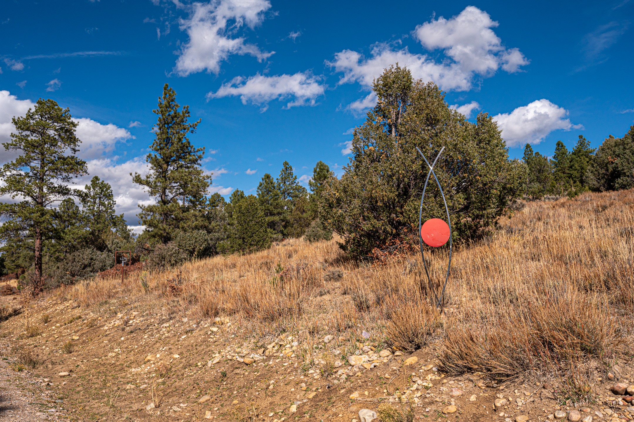 24208A Us Highway 84, Cebolla, New Mexico image 5