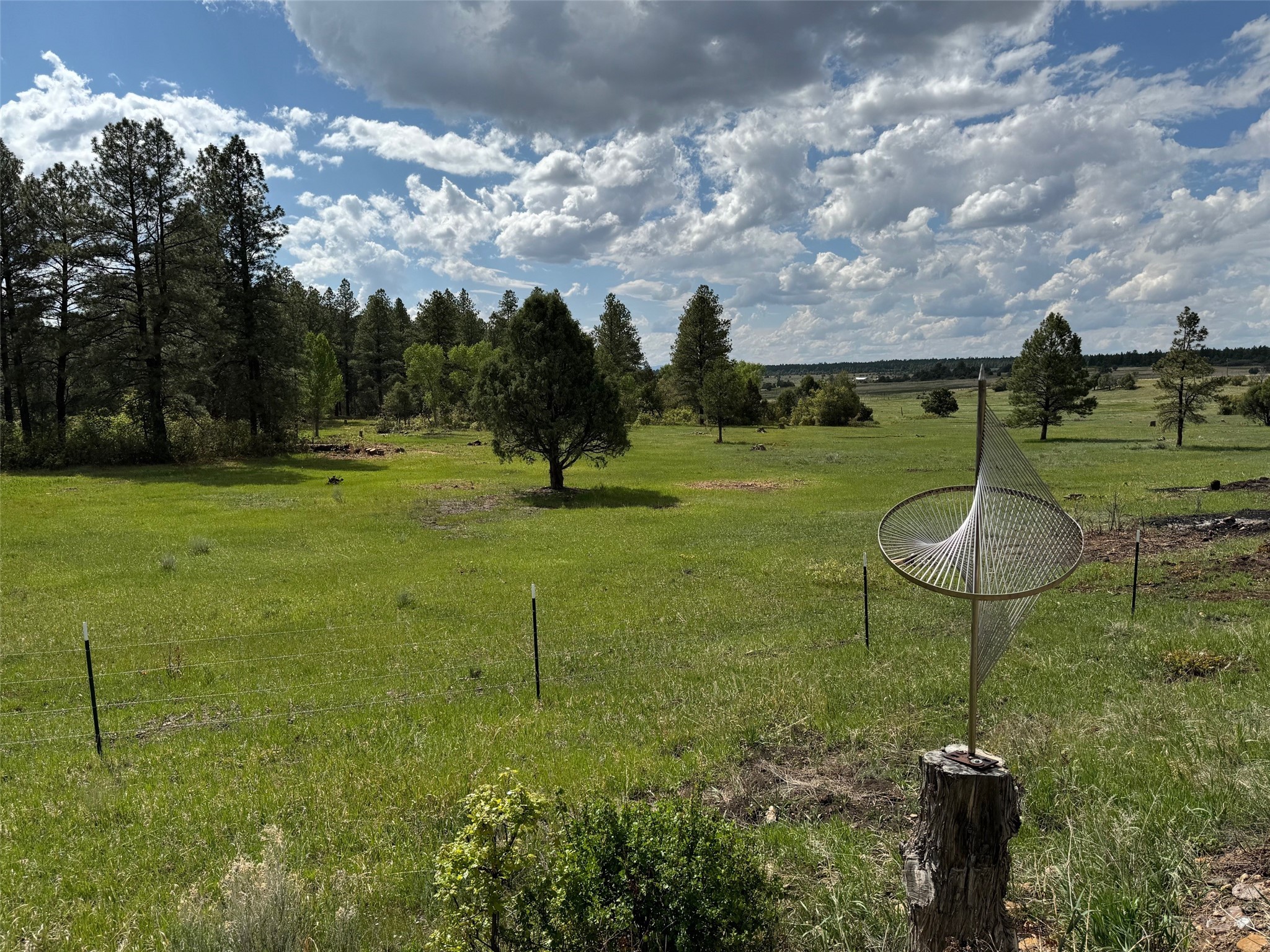 24208A Us Highway 84, Cebolla, New Mexico image 3