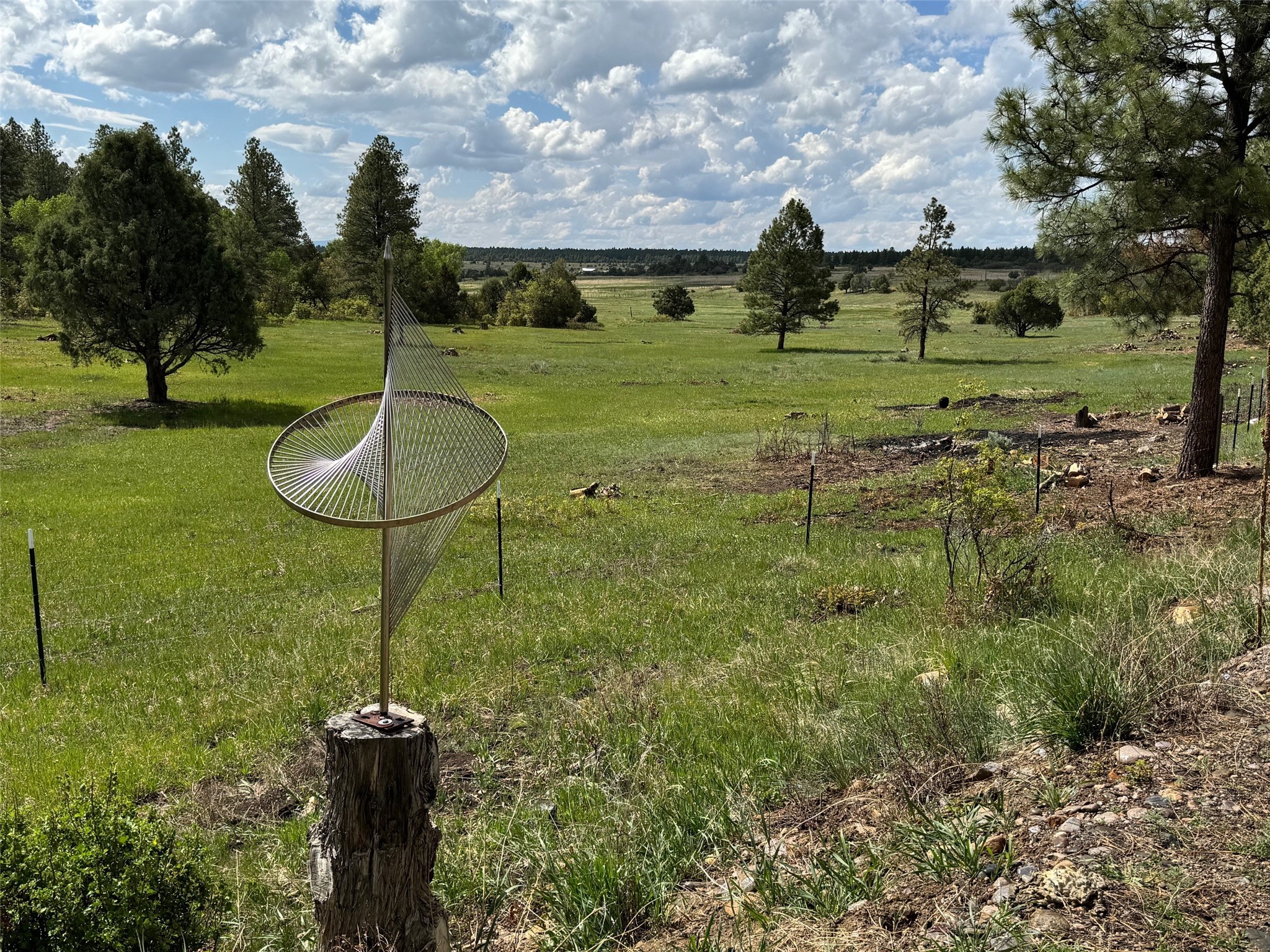 24208A Us Highway 84, Cebolla, New Mexico image 4