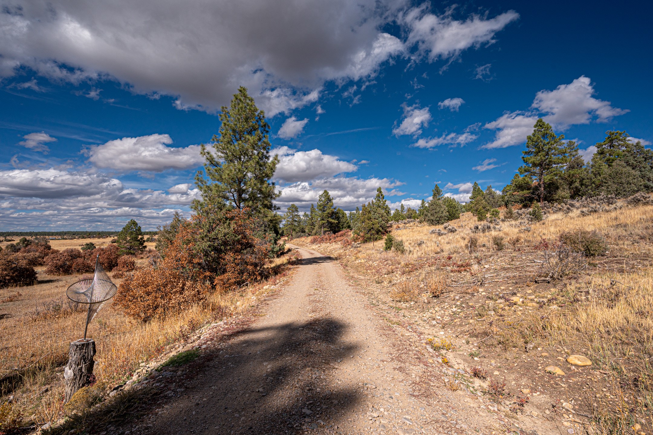 24208A Us Highway 84, Cebolla, New Mexico image 2