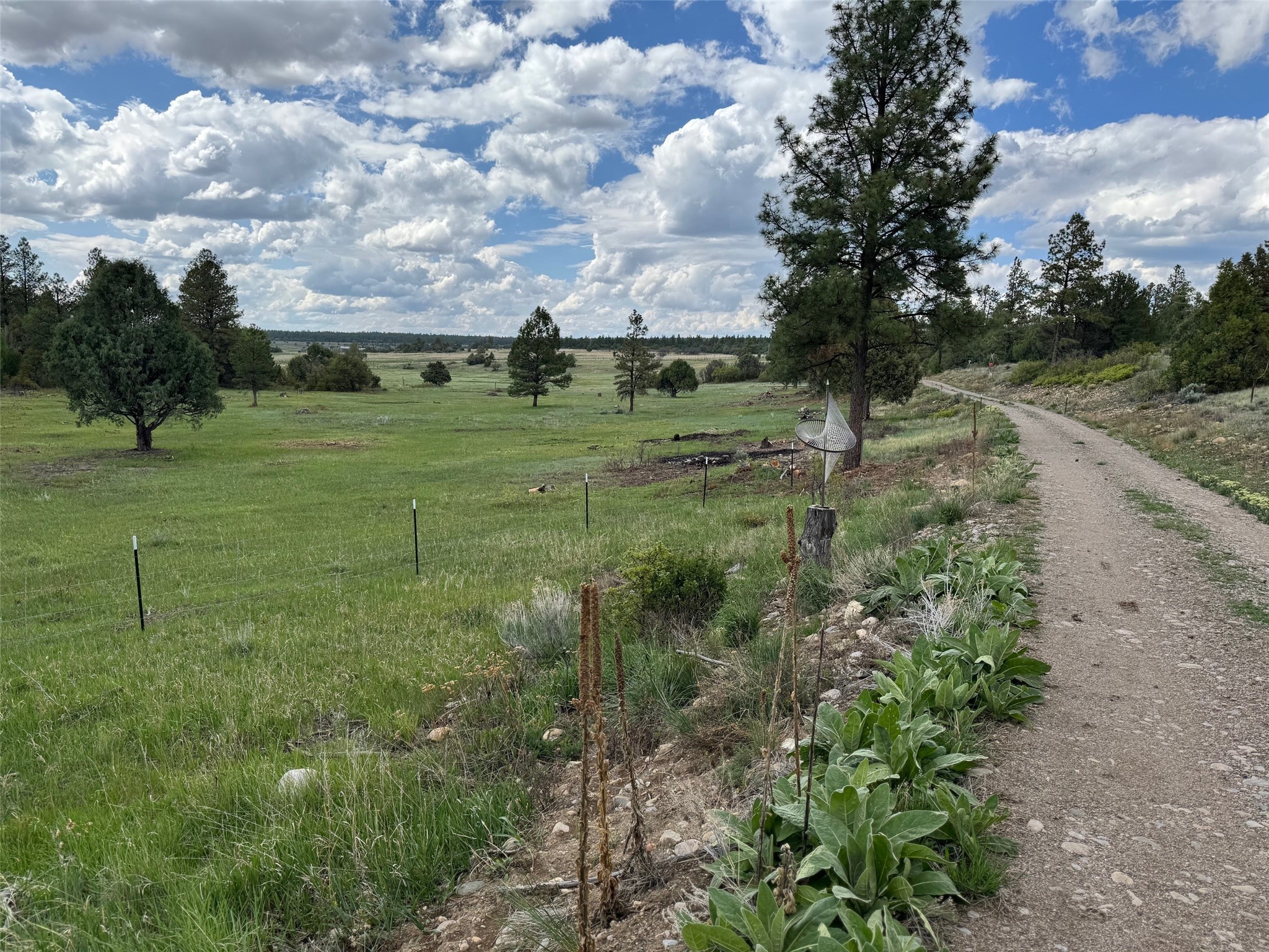 24208A Us Highway 84, Cebolla, New Mexico image 5