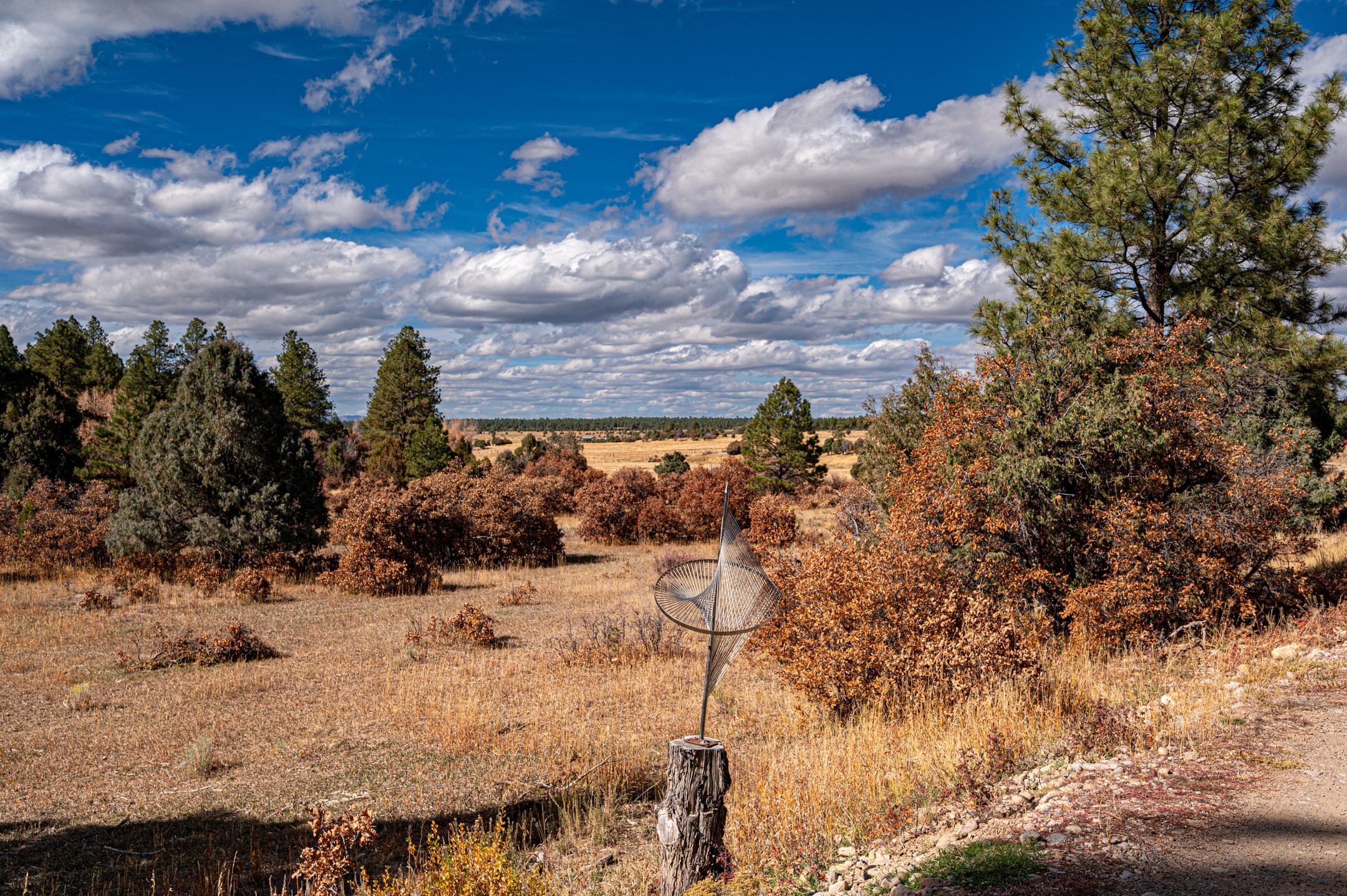 24208A Us Highway 84, Cebolla, New Mexico image 4
