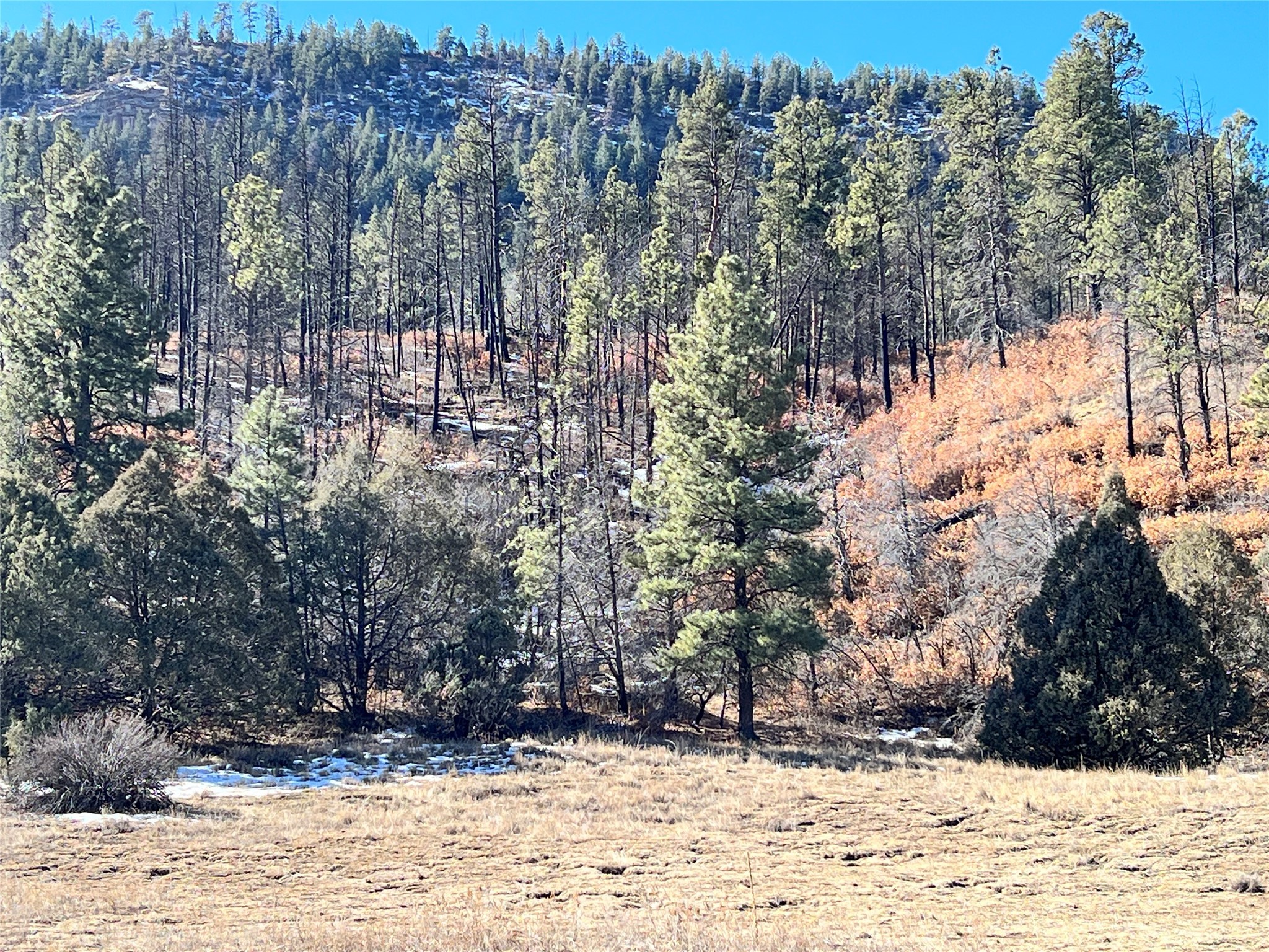 270 Cr 352, Dulce, New Mexico image 3