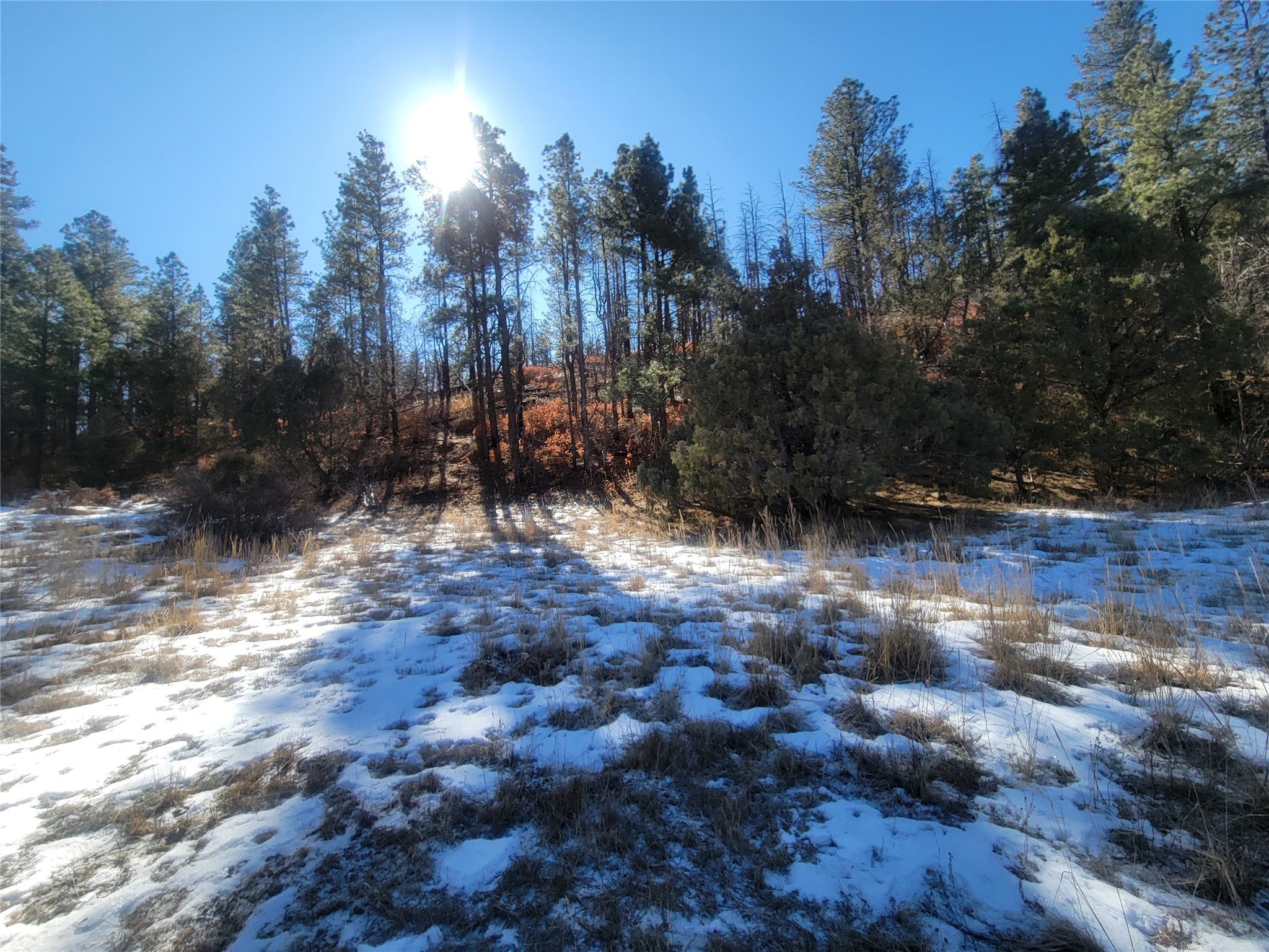 270 Cr 352, Dulce, New Mexico image 9