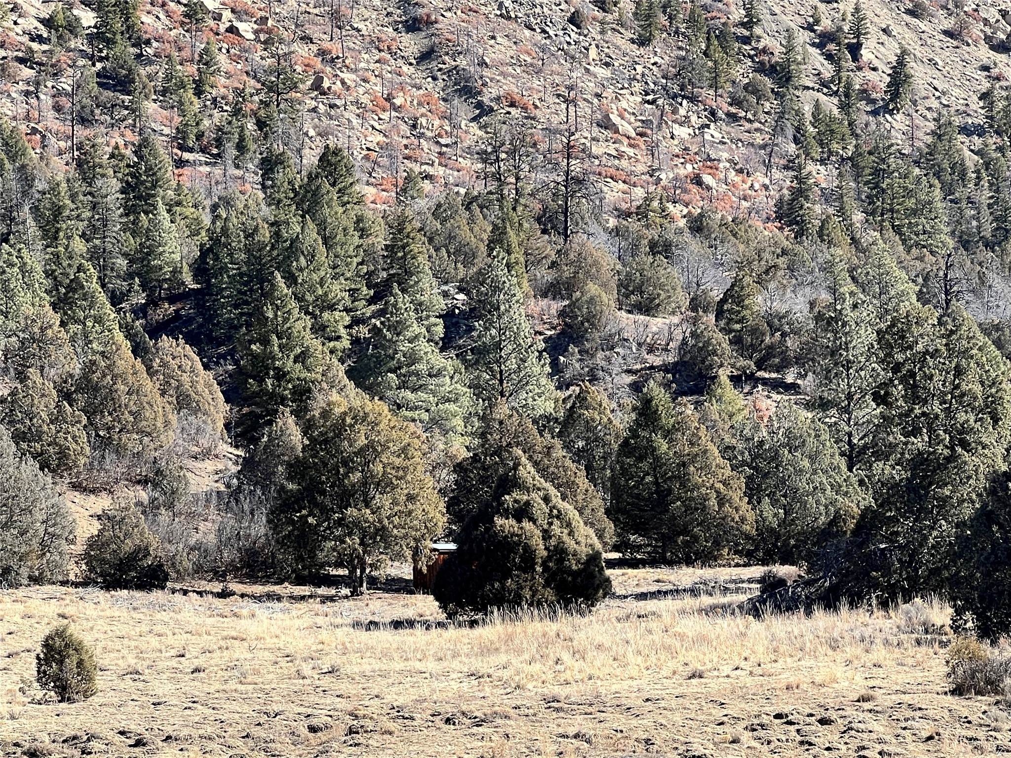 270 Cr 352, Dulce, New Mexico image 8