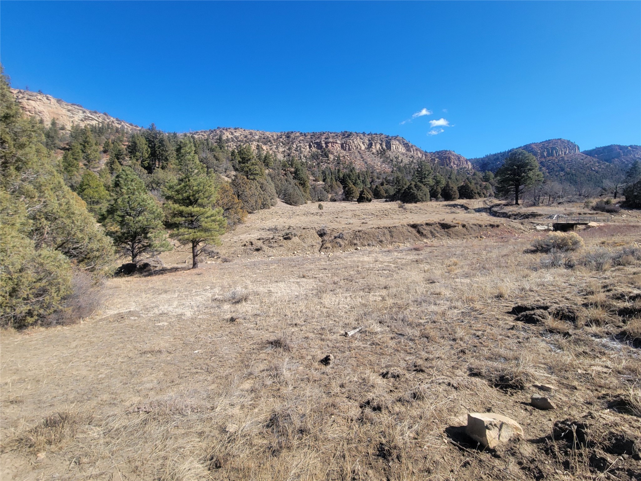 270 Cr 352, Dulce, New Mexico image 11